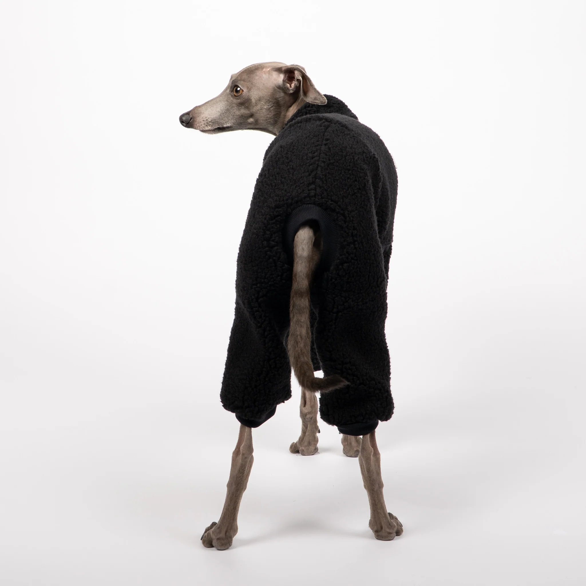 TEDDY OVERALL Iggy Schwarz - Image 2