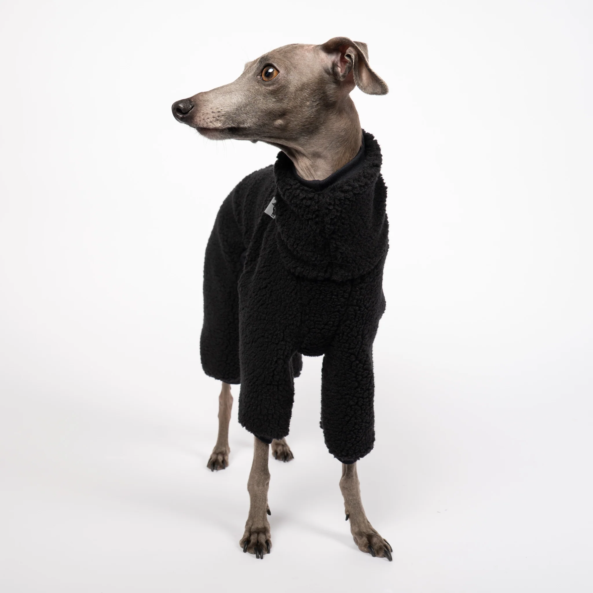 TEDDY OVERALL Iggy Schwarz - Image 5