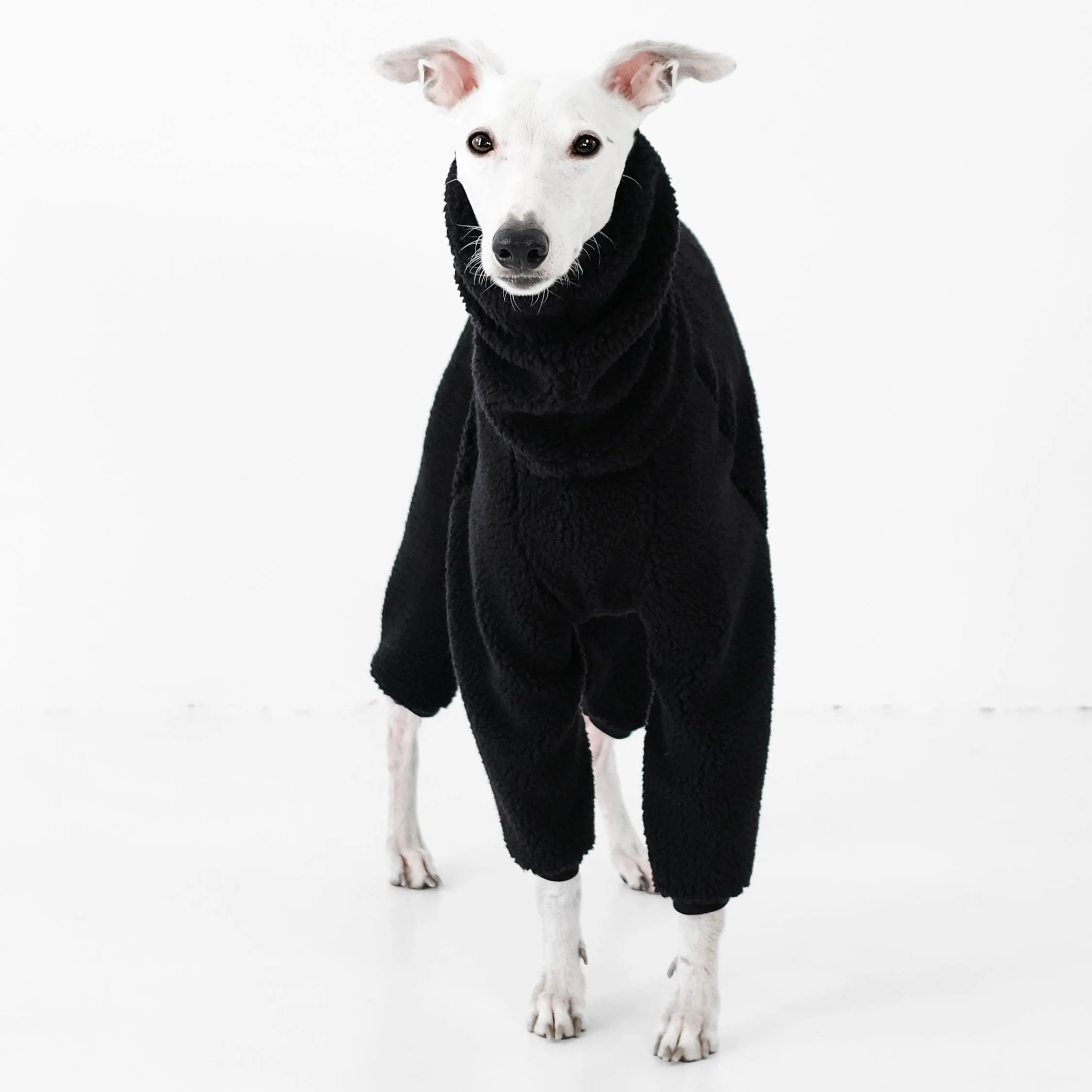 TEDDY OVERALL Windhund Schwarz - Image 5