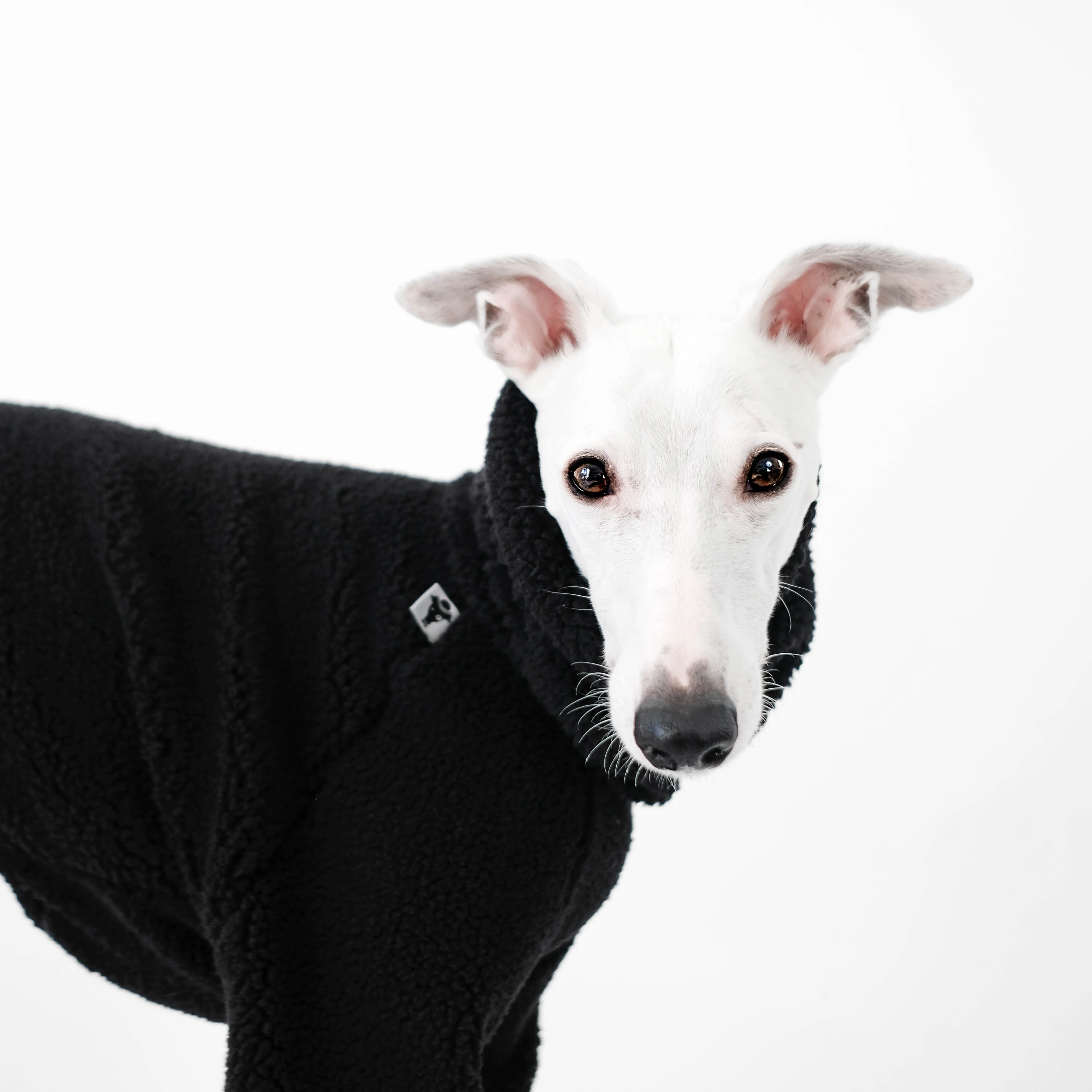 TEDDY OVERALL Windhund Schwarz - Image 7