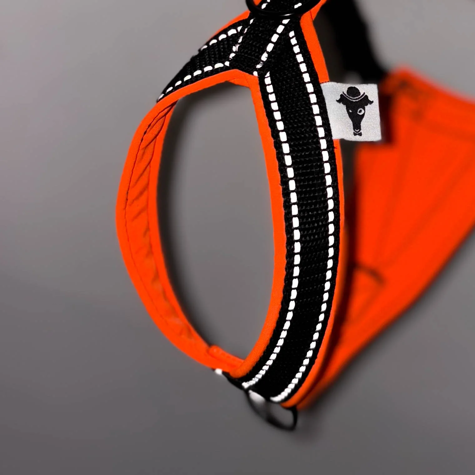 SOFTSHELL HUNDEGESCHIRR Iggy Neon Orange - Image 7