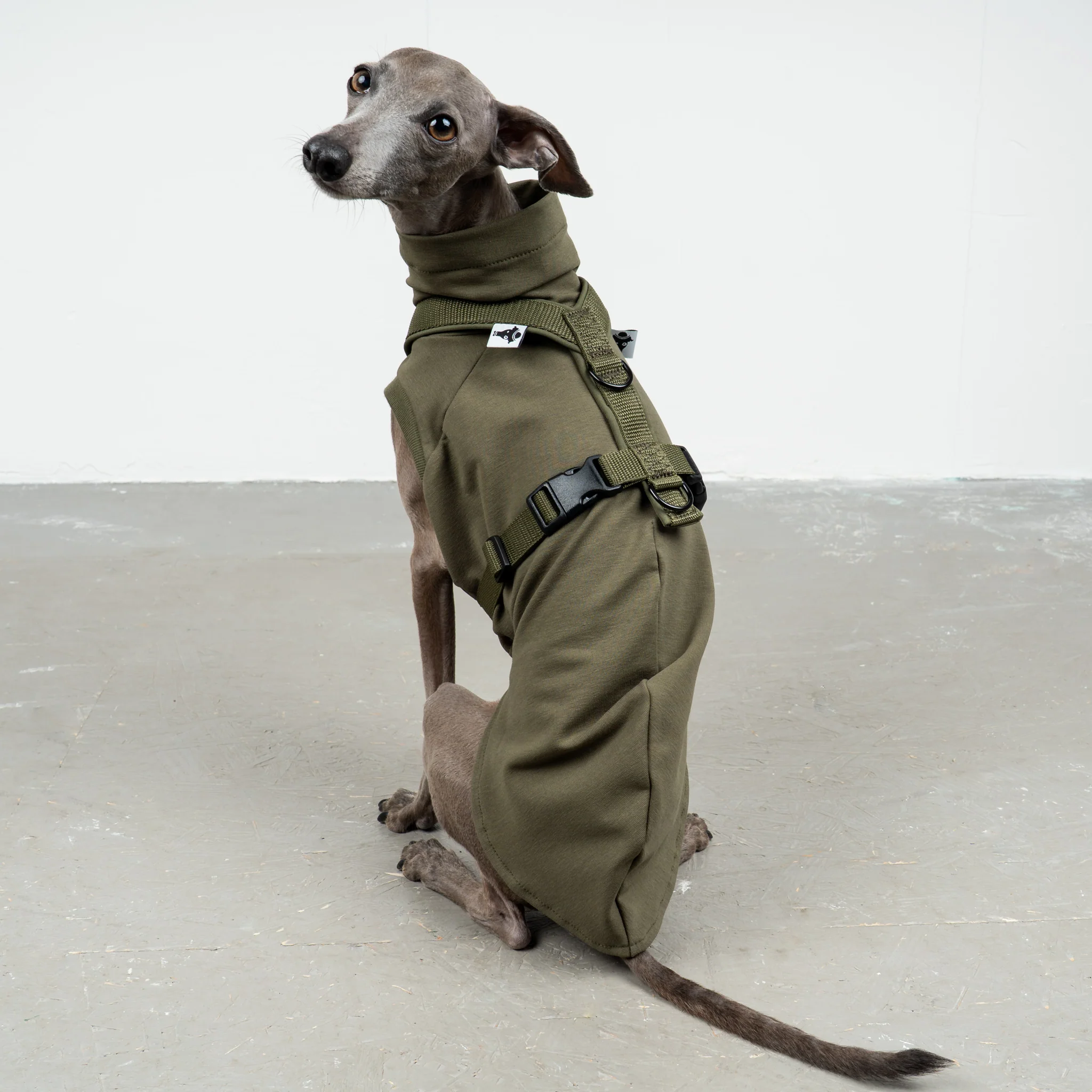 SOFTSHELL HUNDEGESCHIRR Iggy Dark Olive - Image 6