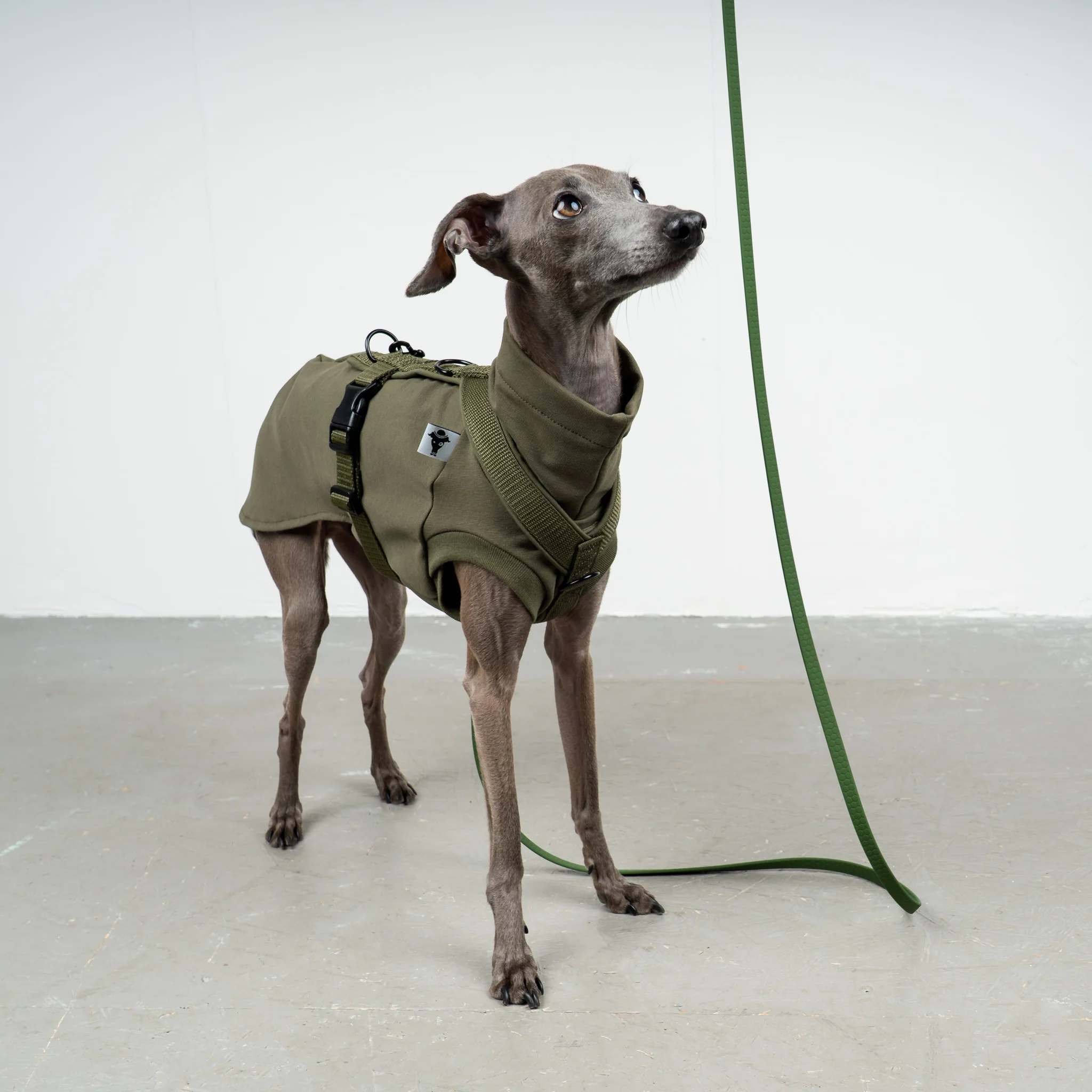 SOFTSHELL HUNDEGESCHIRR Iggy Dark Olive - Image 7