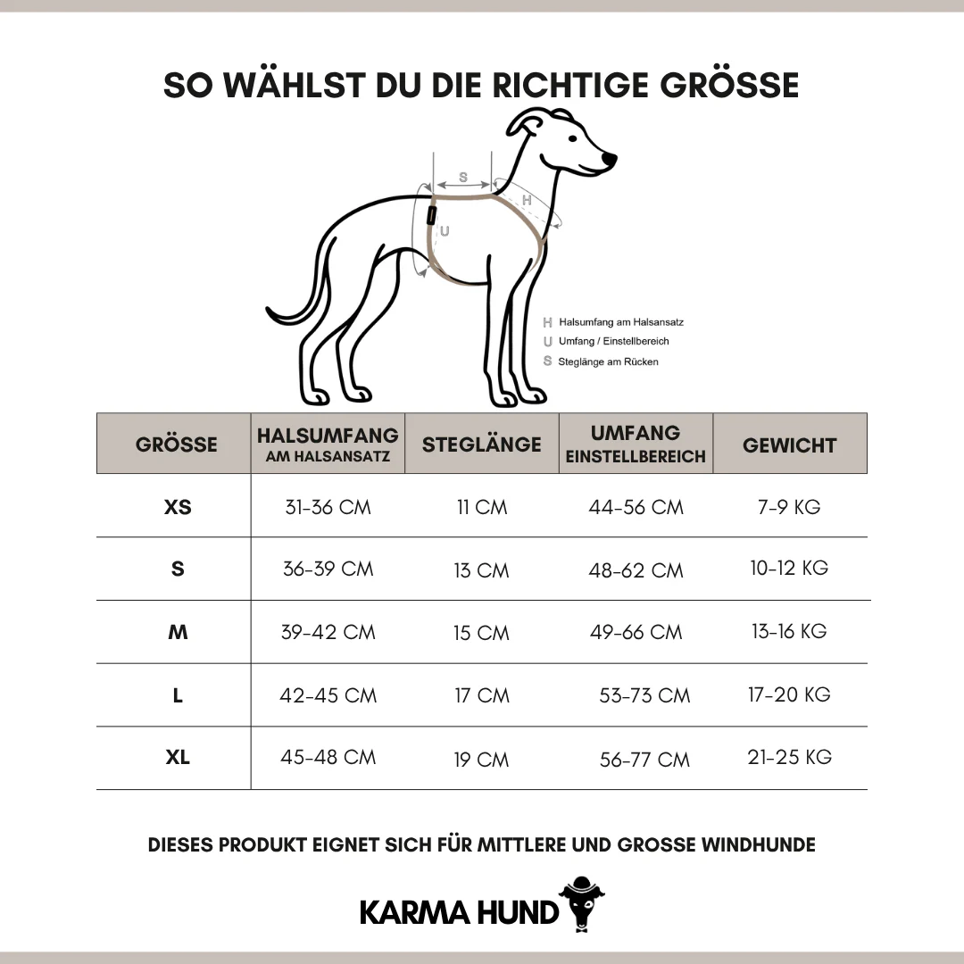SOFTSHELL HUNDEGESCHIRR Windhund Schwarz - Image 12
