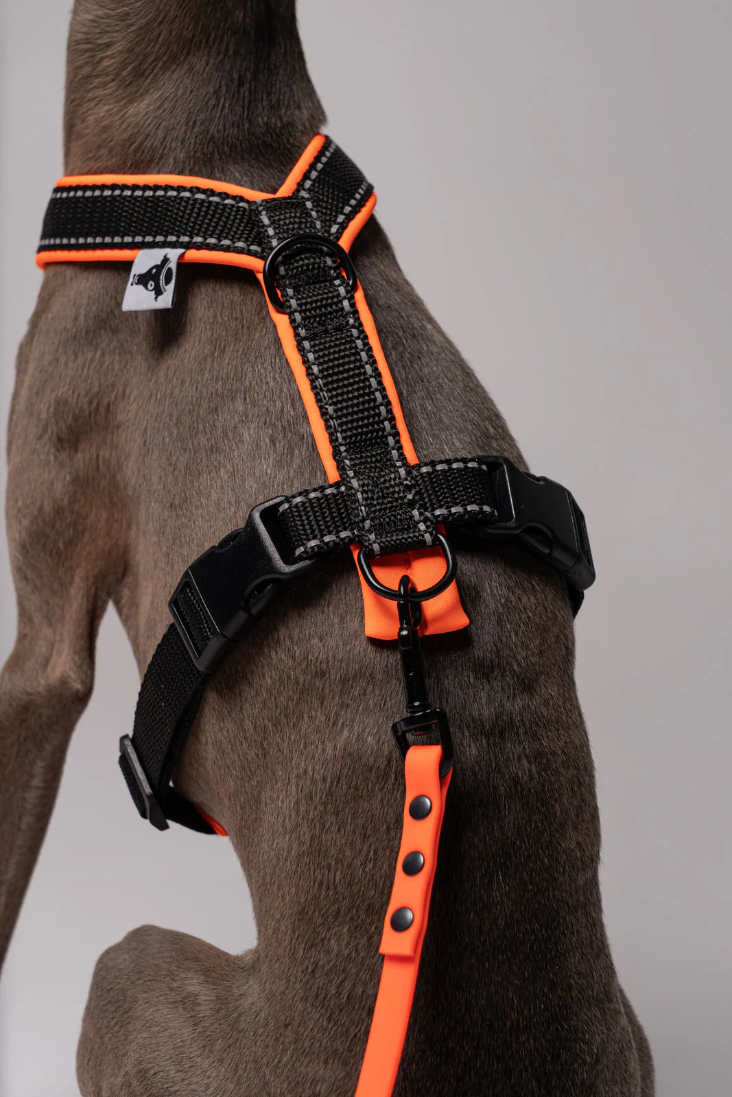 RAINLEASH Slim Neon Orange - Image 4