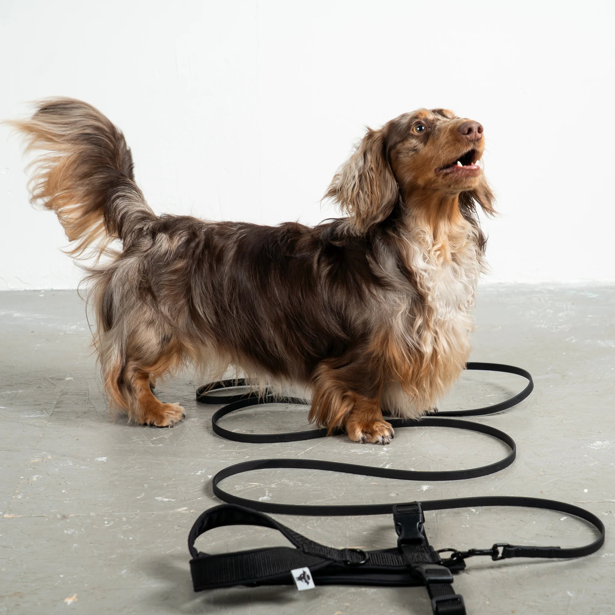 RAINLEASH Slim Schwarz - Image 3