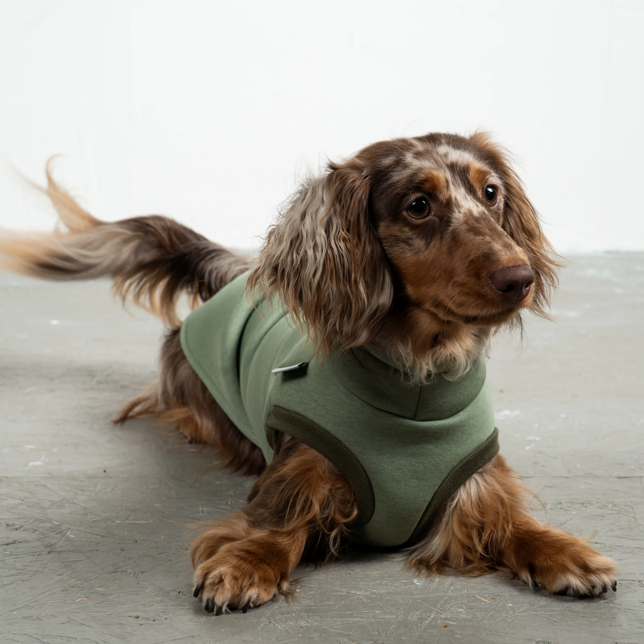 SWEAT SHIRT Dackel Matcha - Image 2