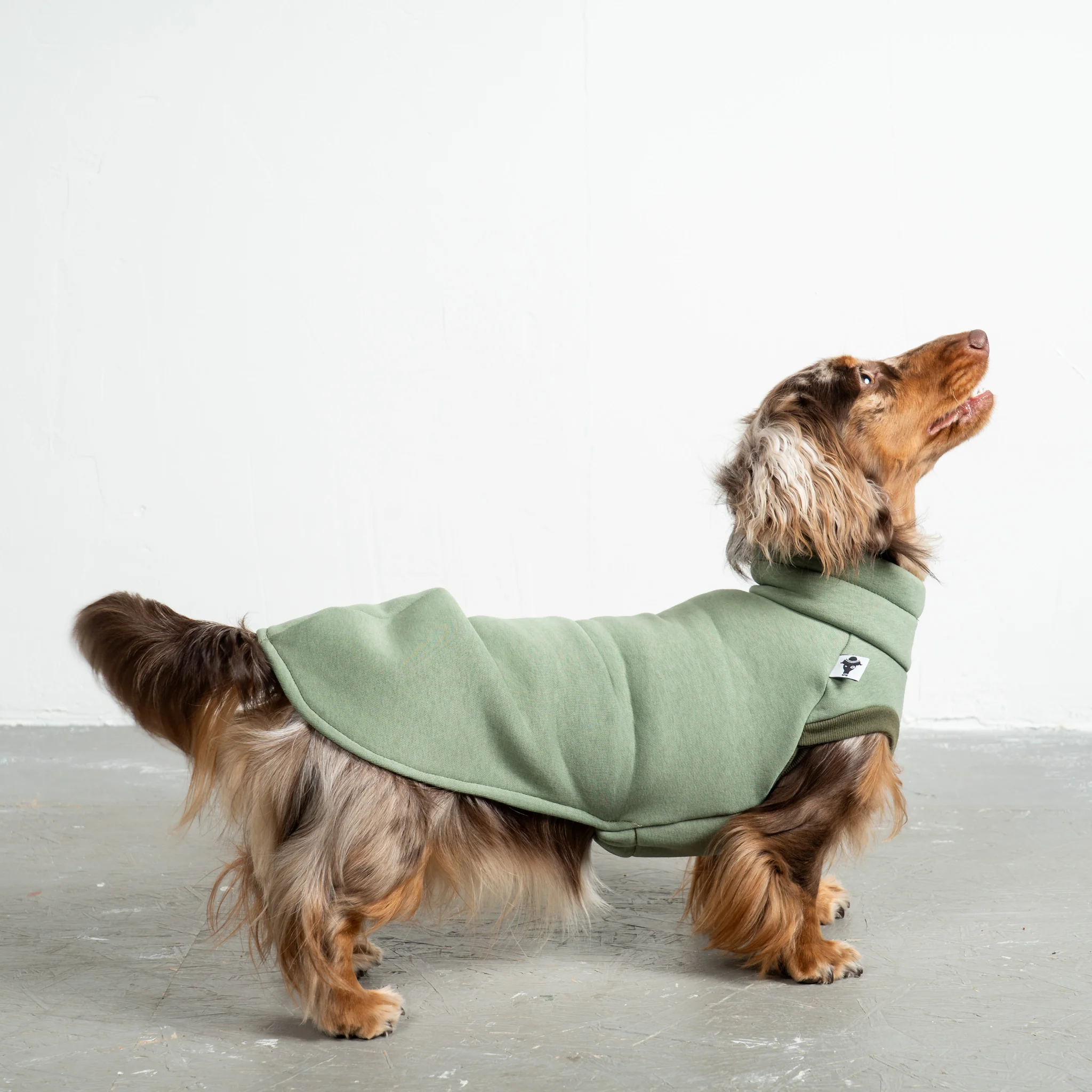 SWEAT SHIRT Dackel Matcha - Image 3