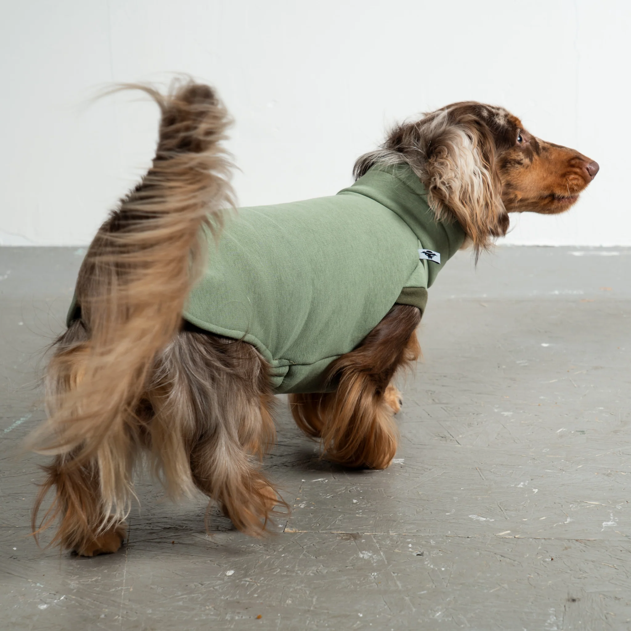 SWEAT SHIRT Dackel Matcha - Image 4