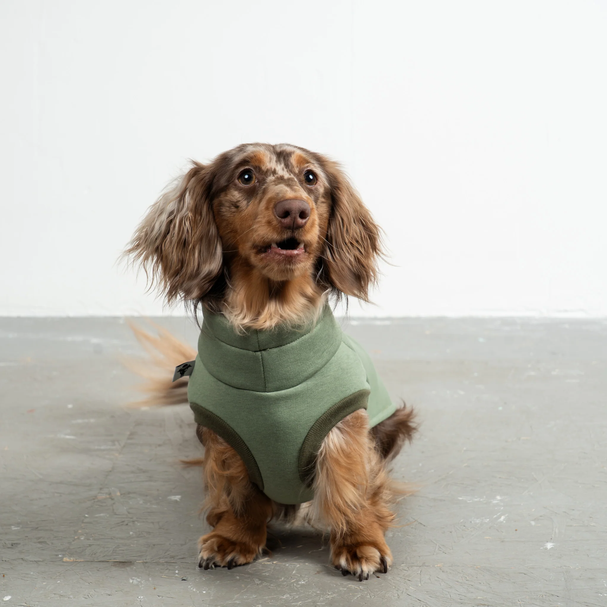 SWEAT SHIRT Dackel Matcha - Image 5