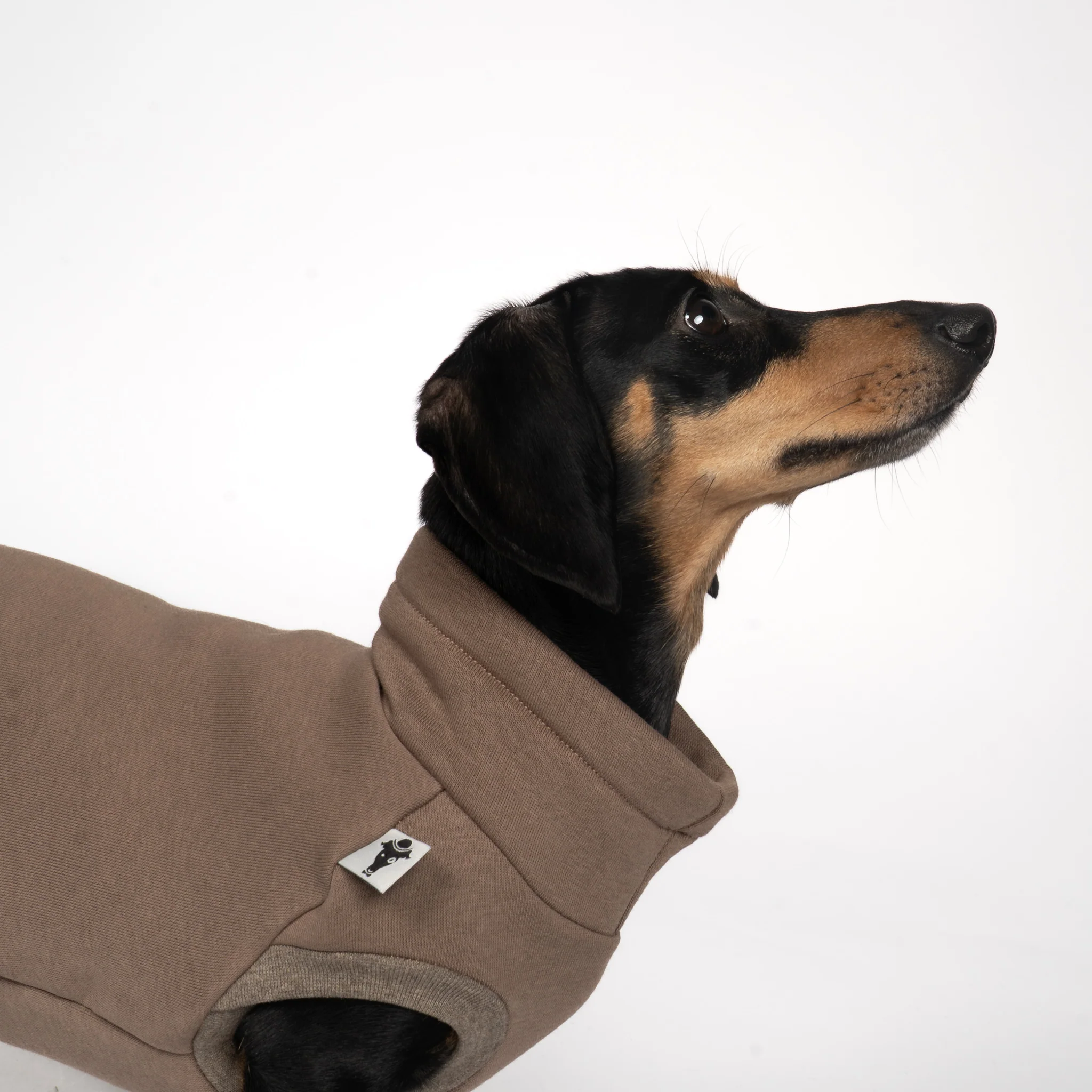 SWEAT SHIRT Dackel Mokka - Image 2