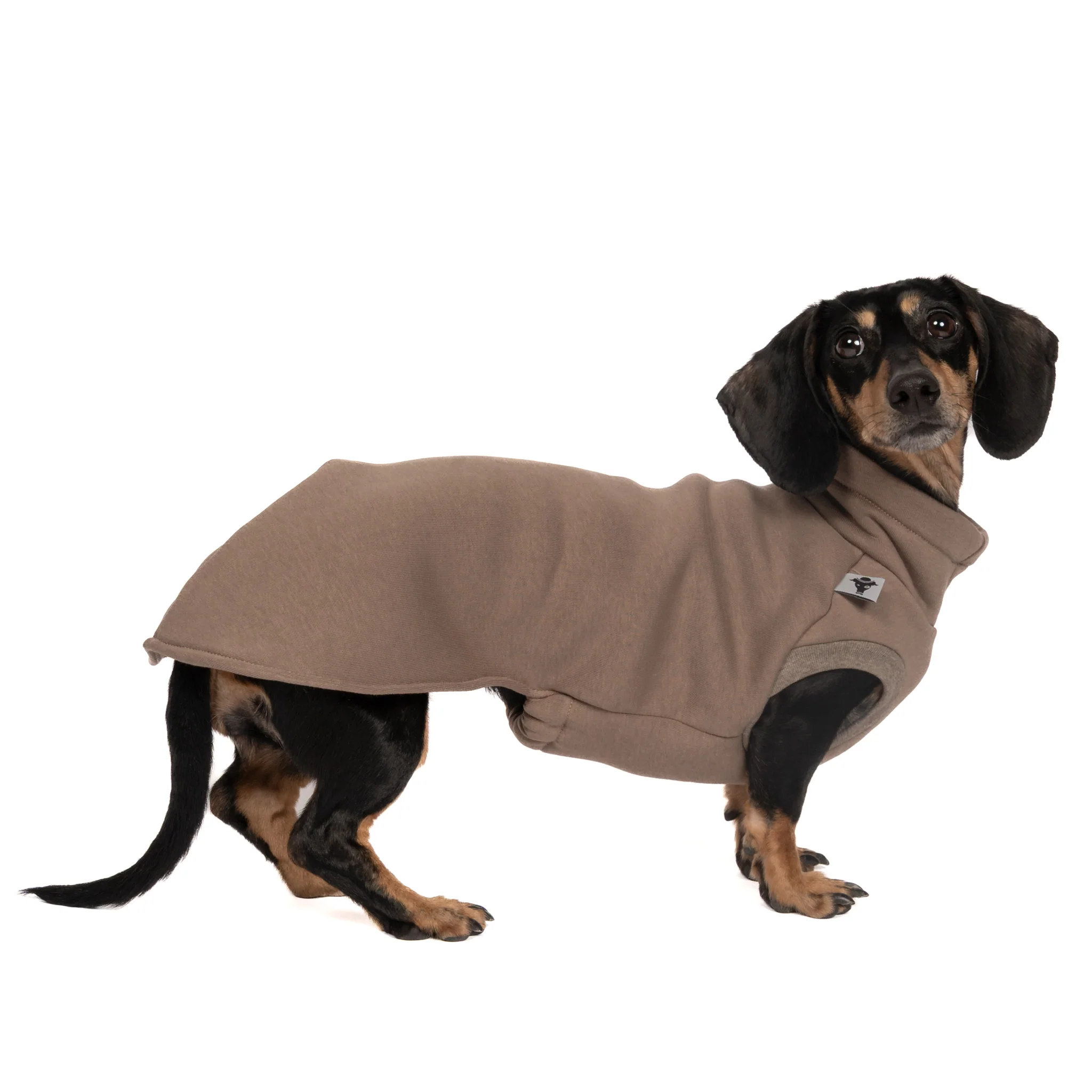 SWEAT SHIRT Dackel Mokka - Image 5