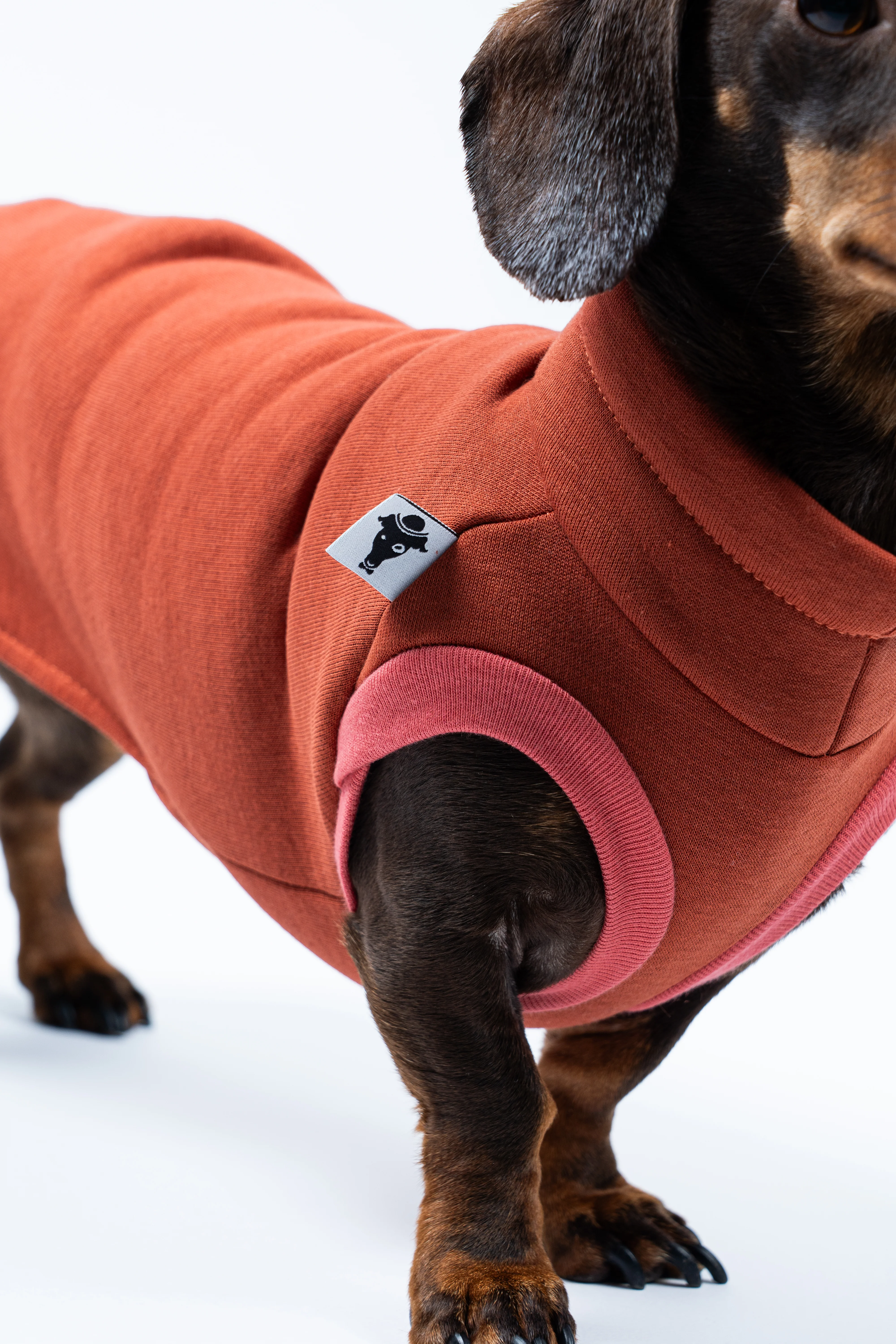 SWEAT SHIRT Dackel Terracotta - Image 7