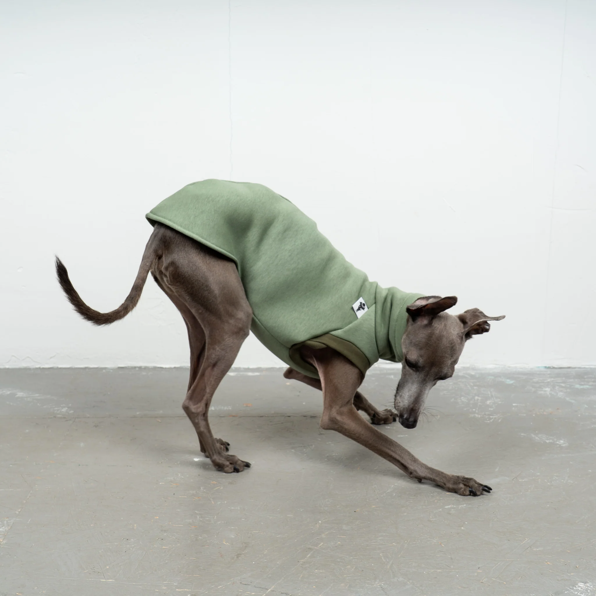 SWEAT SHIRT Iggy Matcha - Image 2