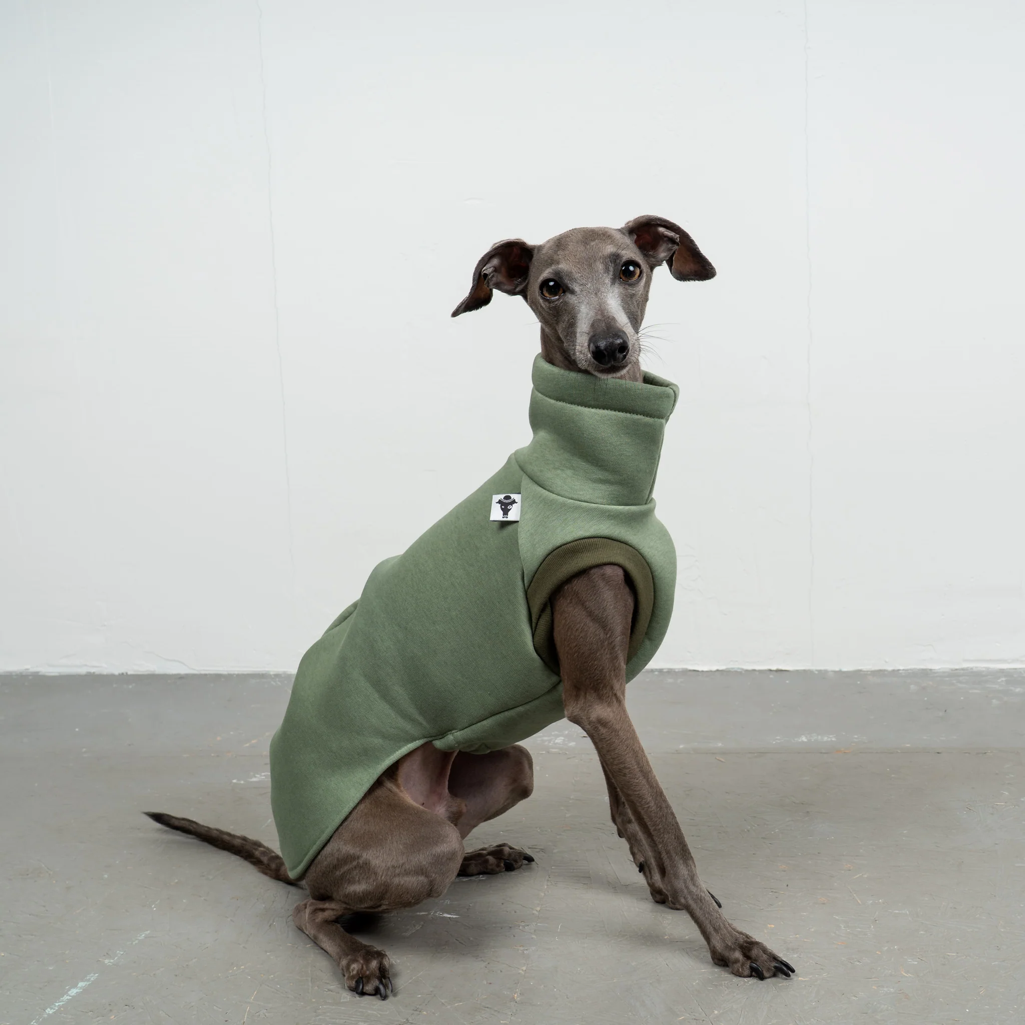 SWEAT SHIRT Iggy Matcha - Image 4