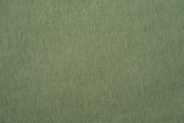 SWEAT SHIRT Dackel Matcha - Image 6