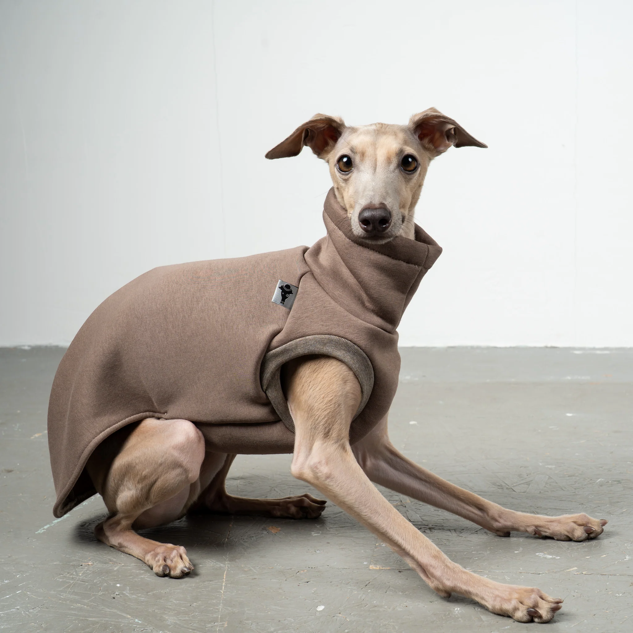 SWEAT SHIRT Iggy Mokka - Image 3