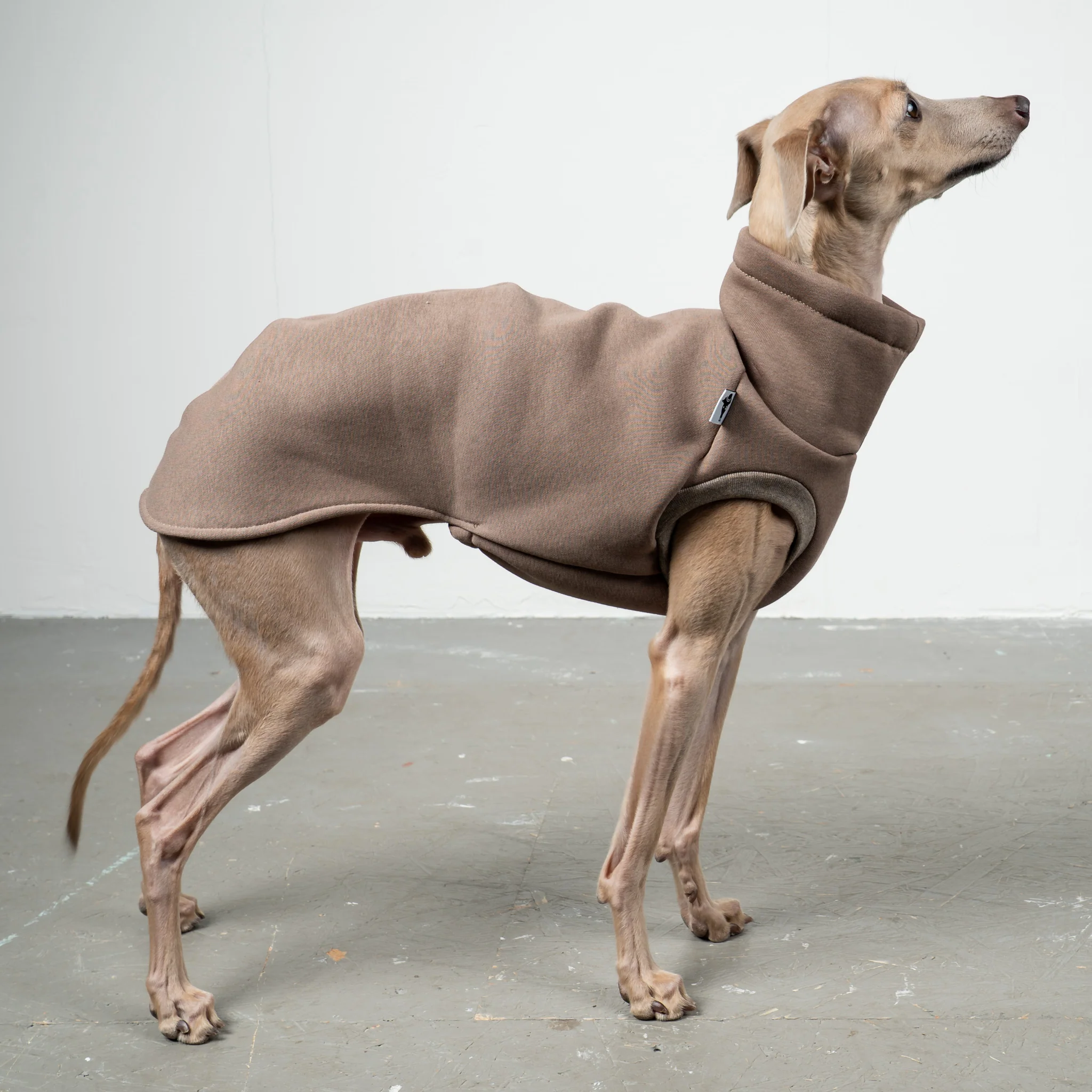 SWEAT SHIRT Iggy Mokka - Image 6