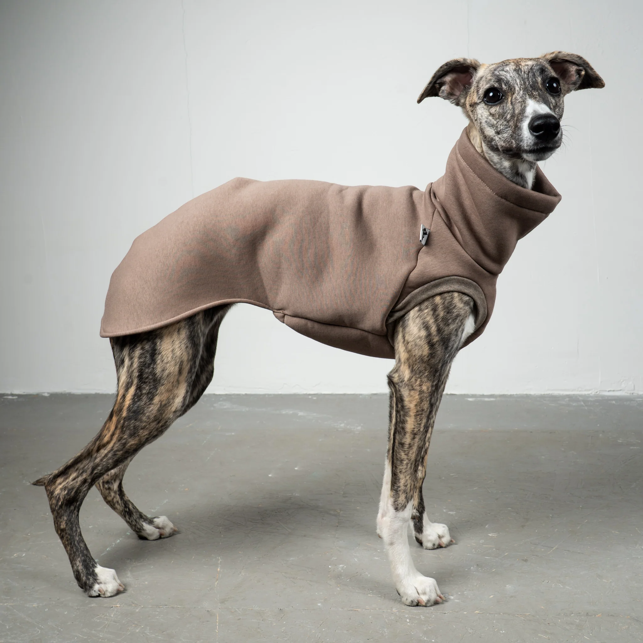 SWEAT SHIRT Windhund Mokka - Image 2