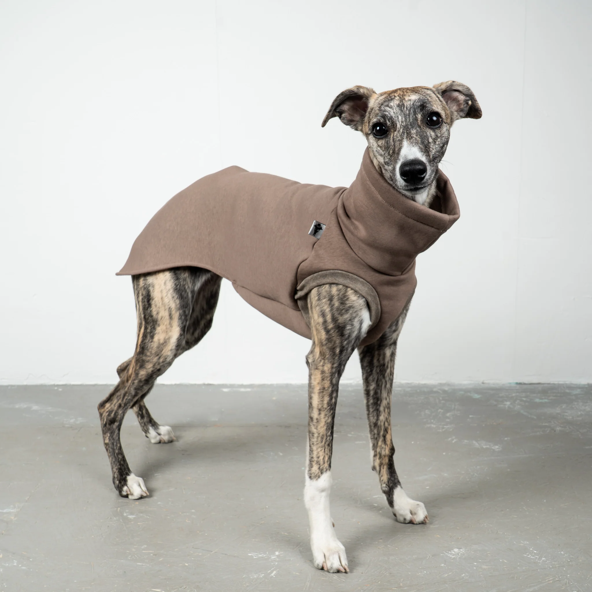 SWEAT SHIRT Windhund Mokka - Image 3