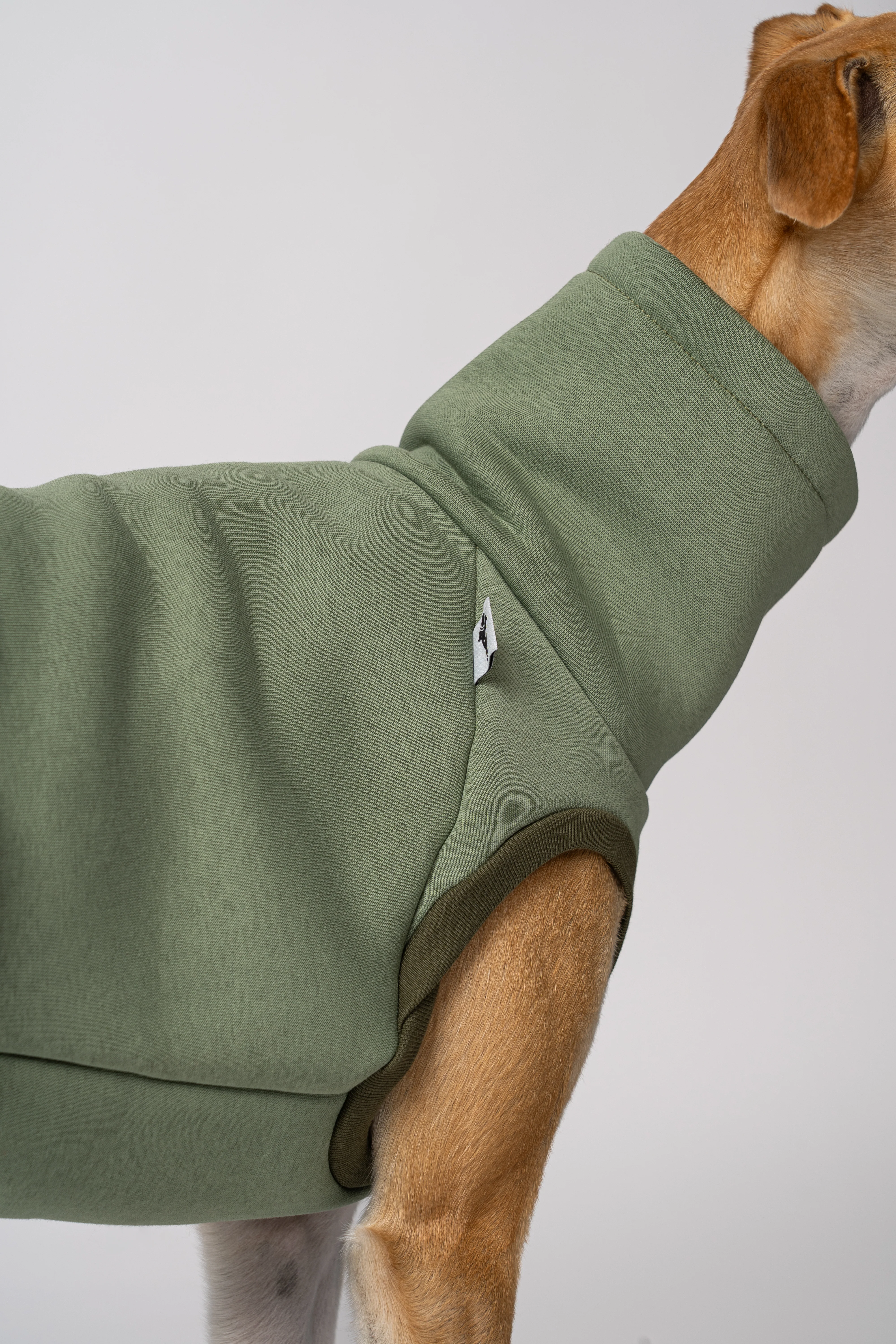 SWEAT SHIRT Windhund Matcha - Image 10