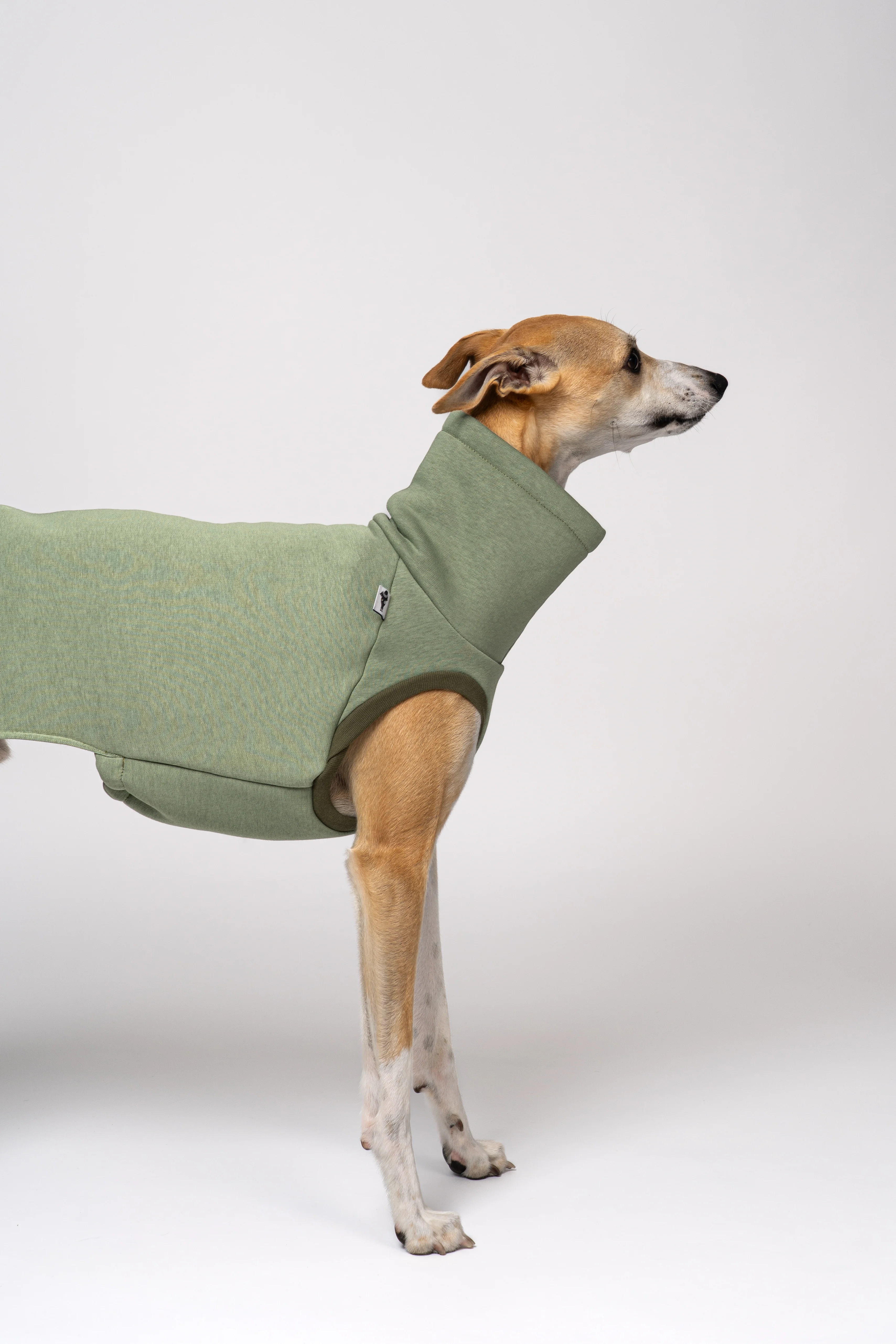 SWEAT SHIRT Windhund Matcha - Image 4