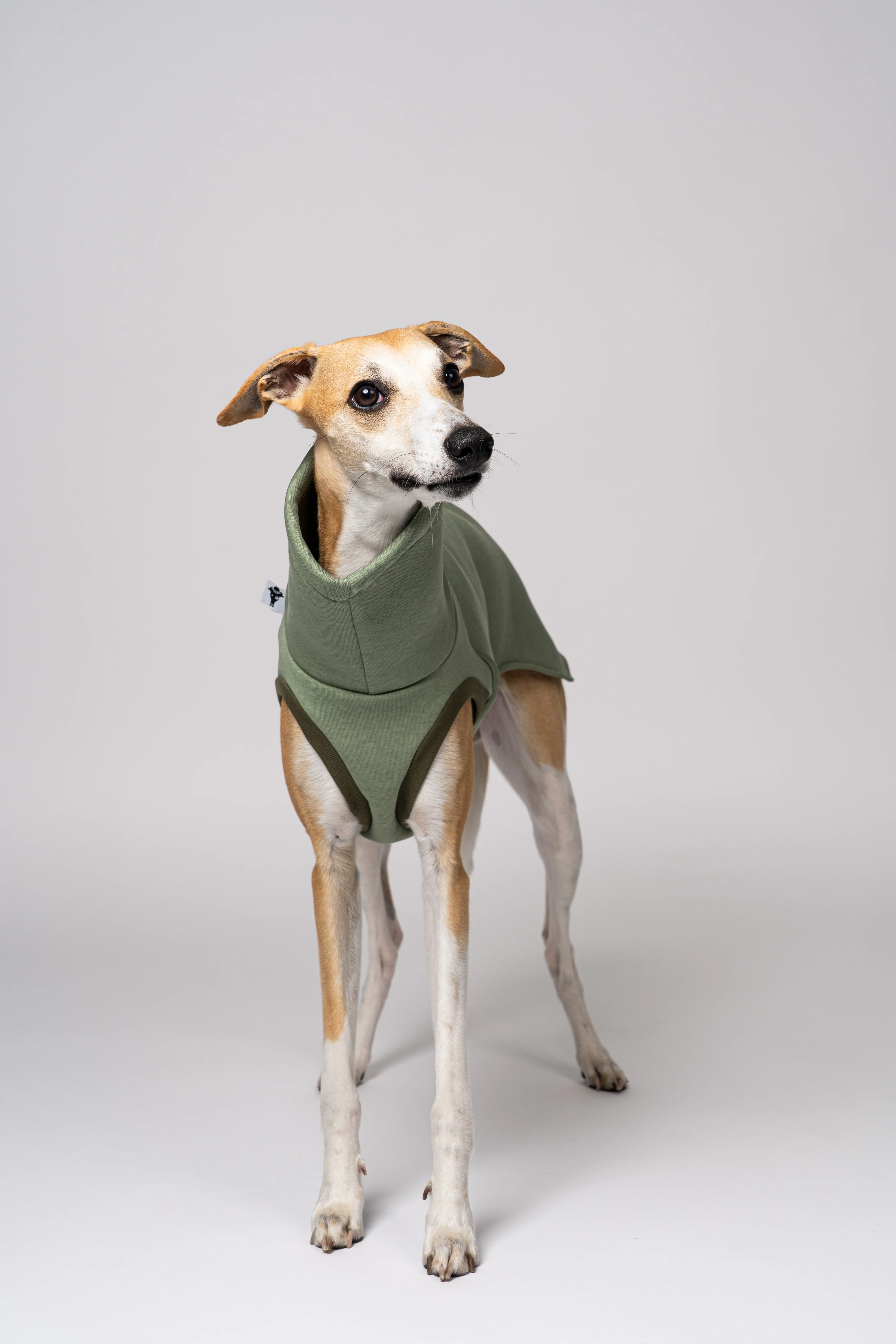 SWEAT SHIRT Windhund Matcha - Image 5