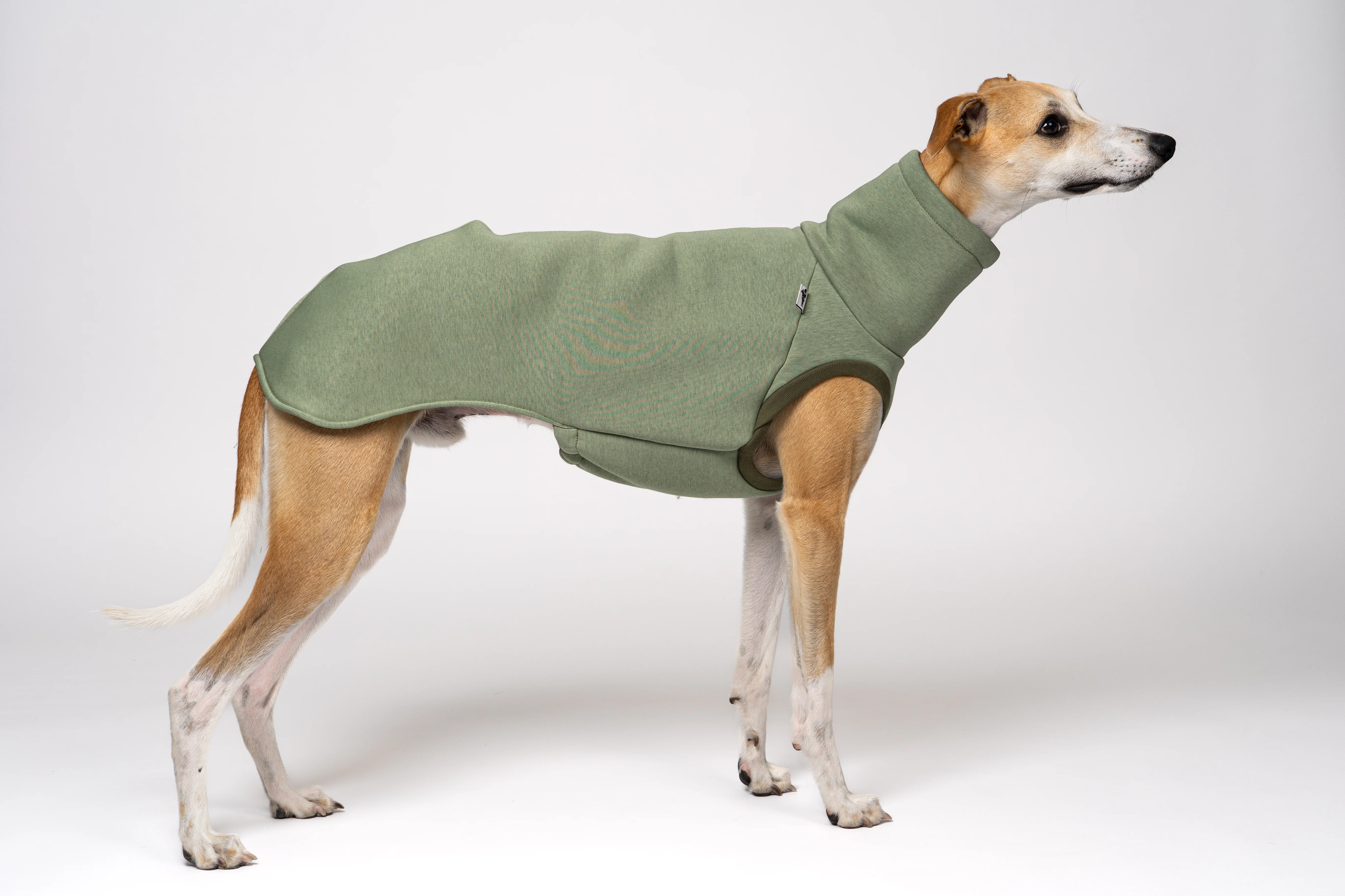 SWEAT SHIRT Windhund Matcha - Image 6