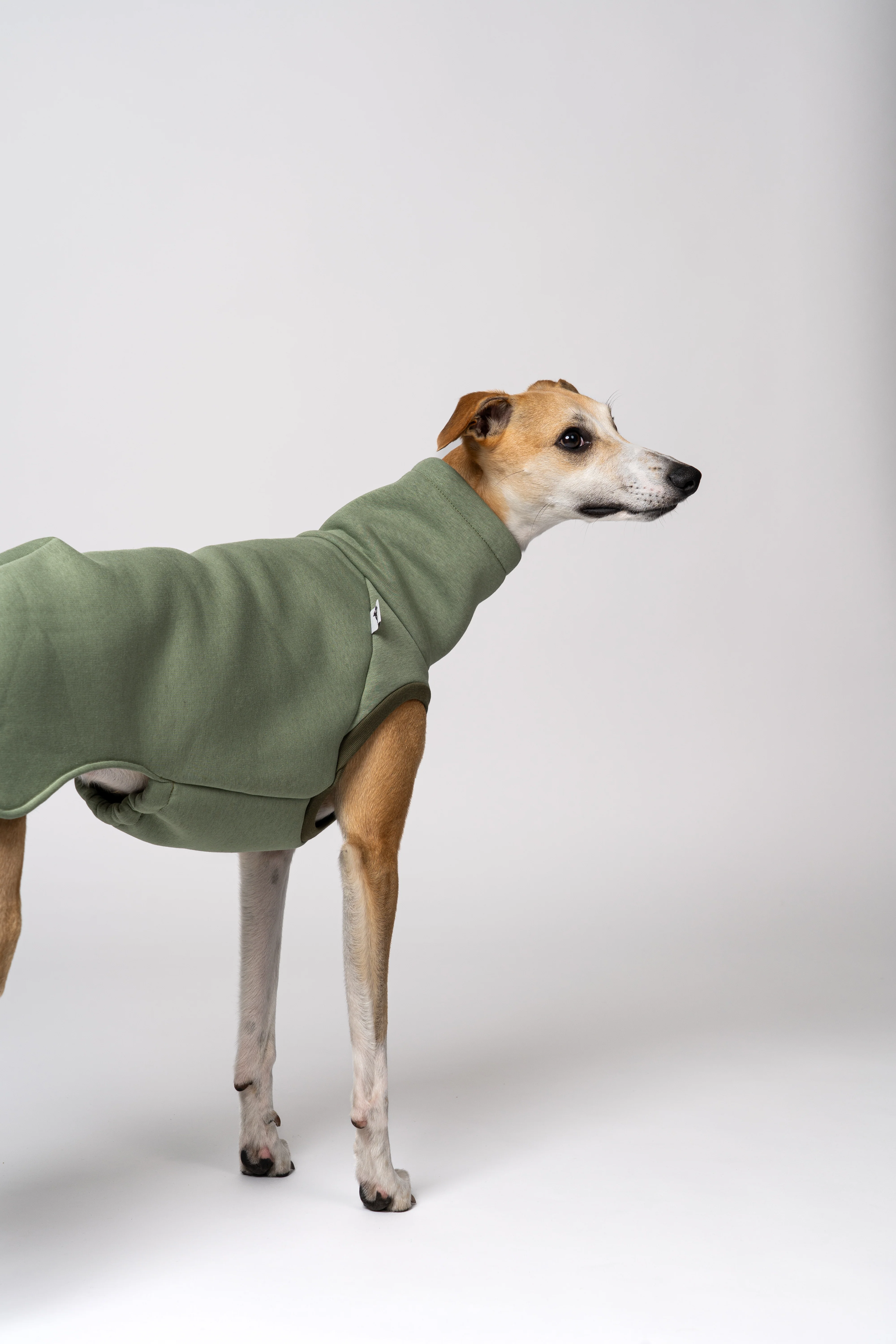 SWEAT SHIRT Windhund Matcha - Image 7