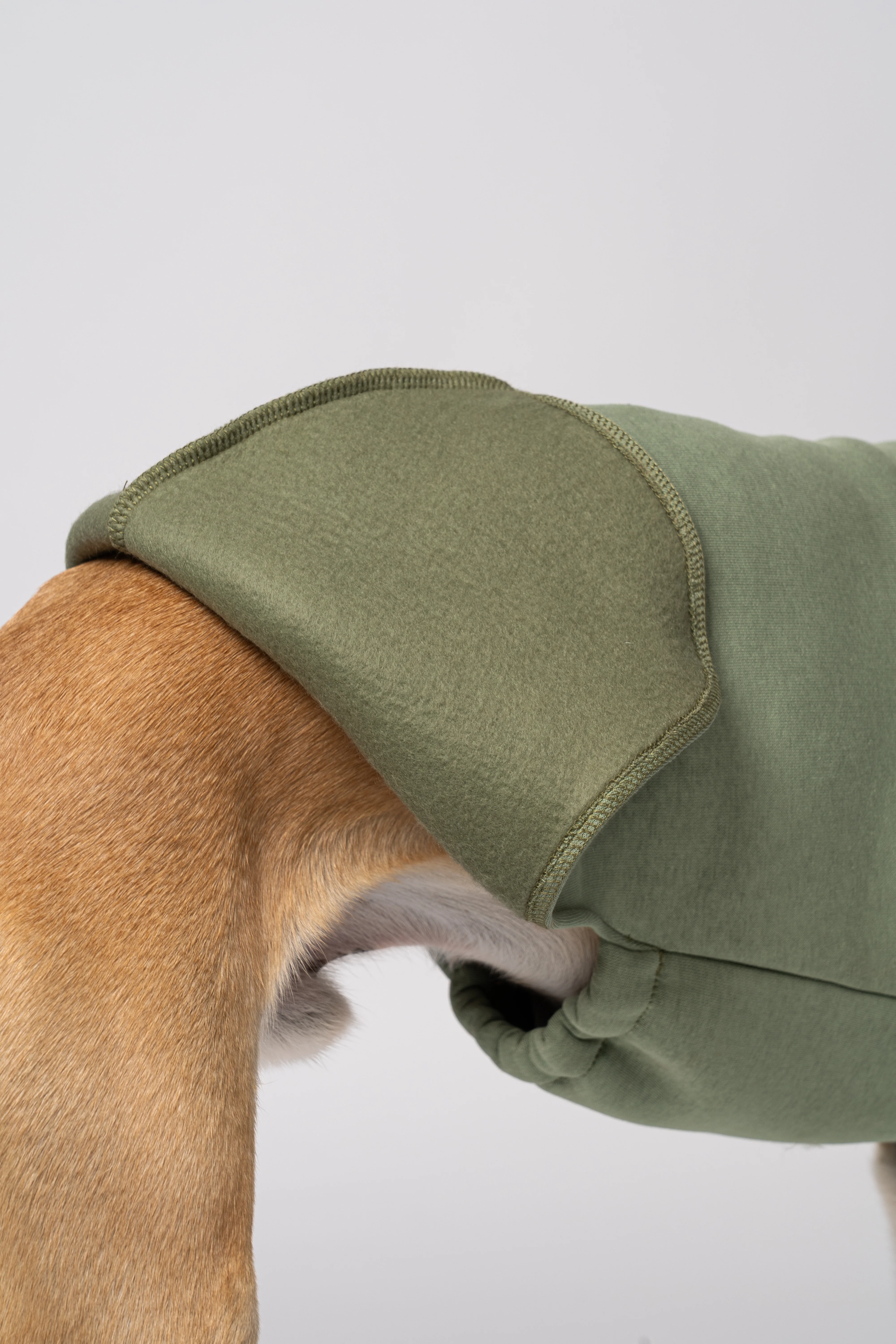 SWEAT SHIRT Windhund Matcha - Image 9