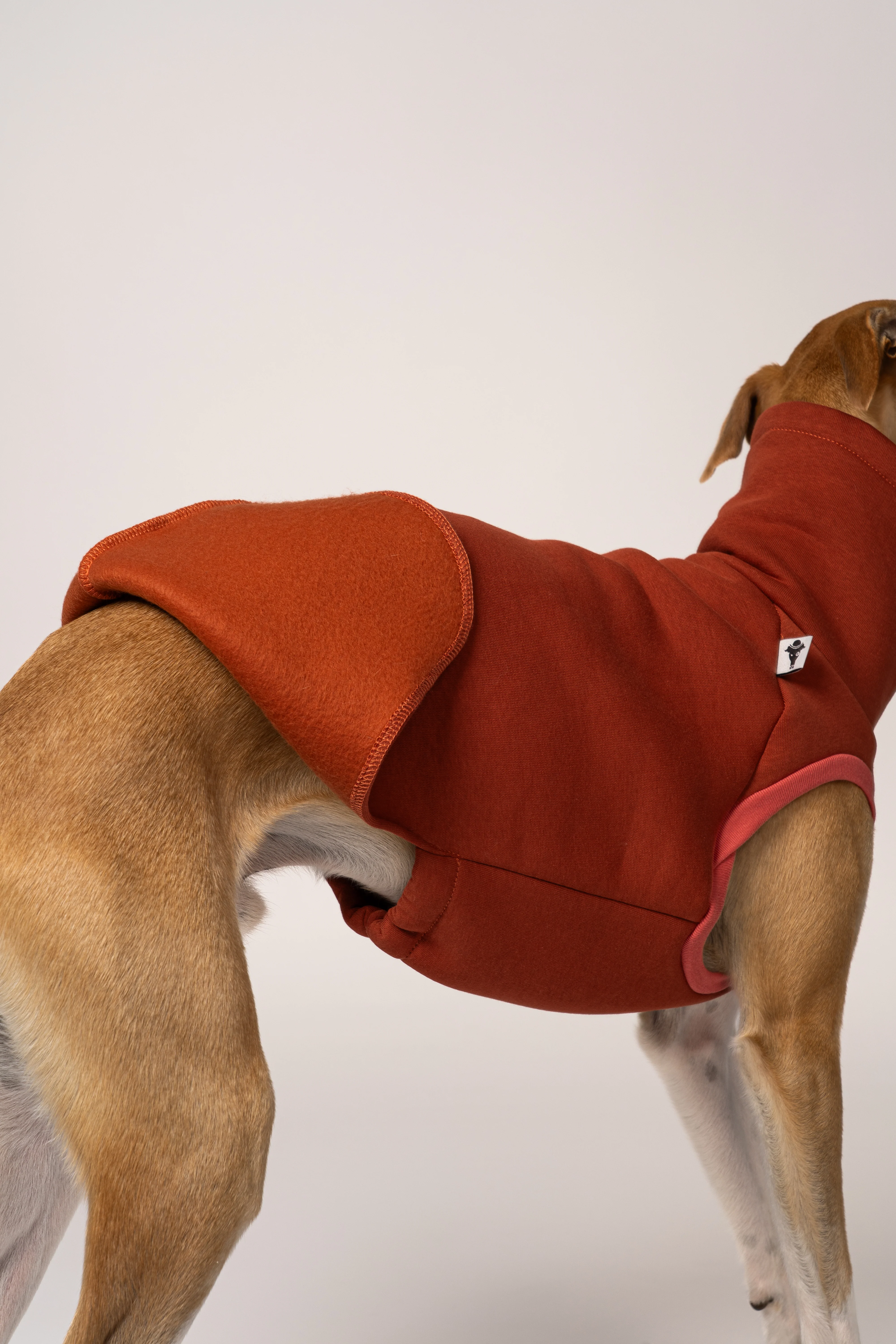 SWEAT SHIRT Windhund Terracotta - Image 10