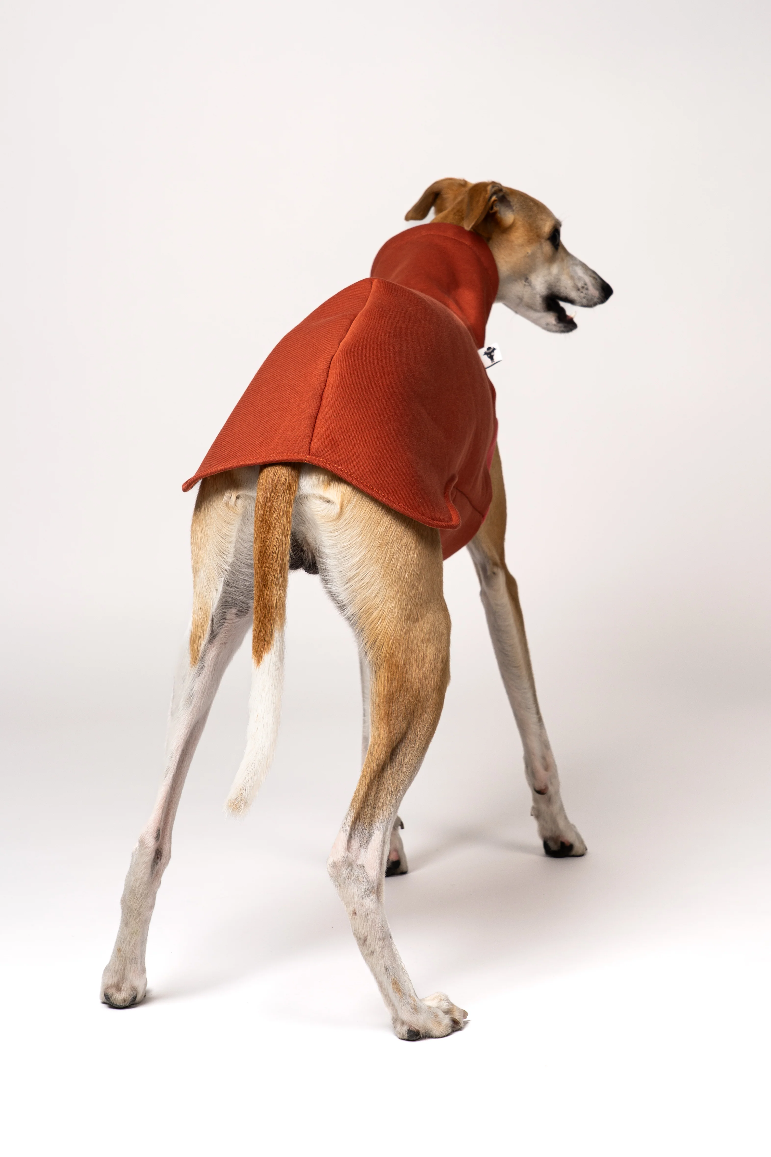 SWEAT SHIRT Windhund Terracotta - Image 4
