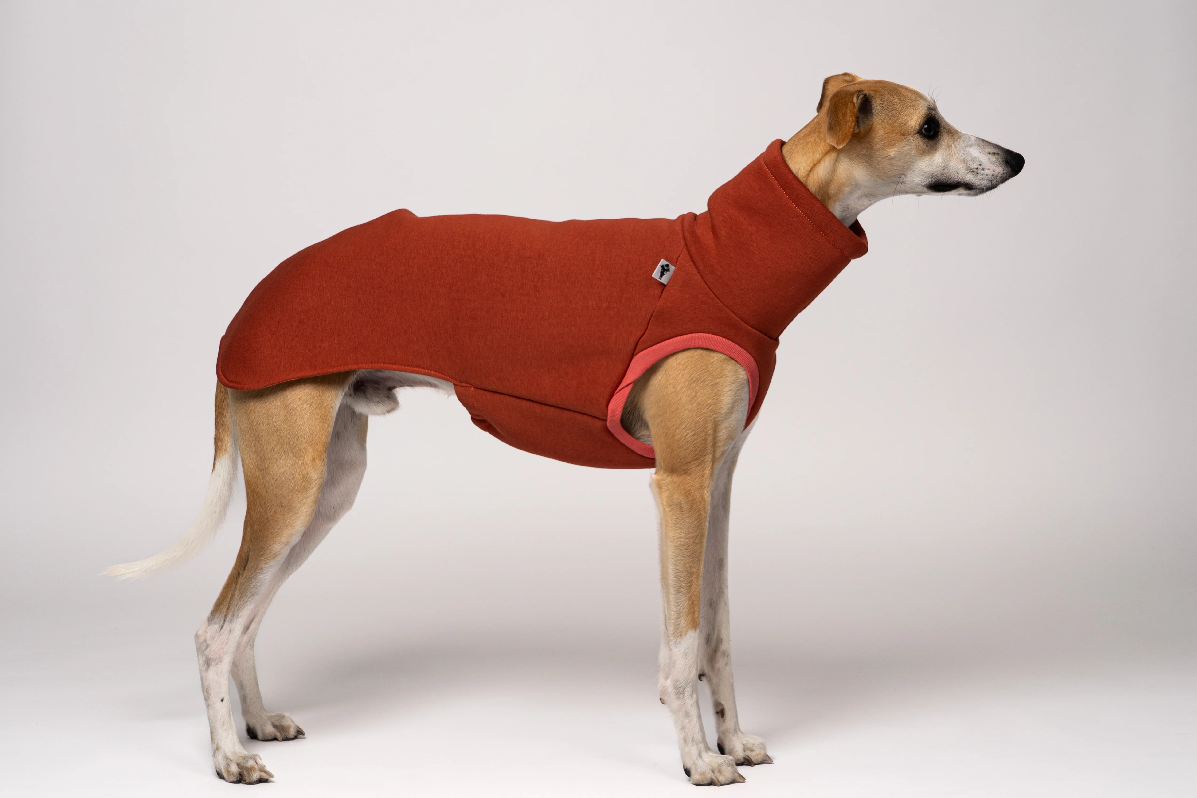SWEAT SHIRT Windhund Terracotta - Image 5