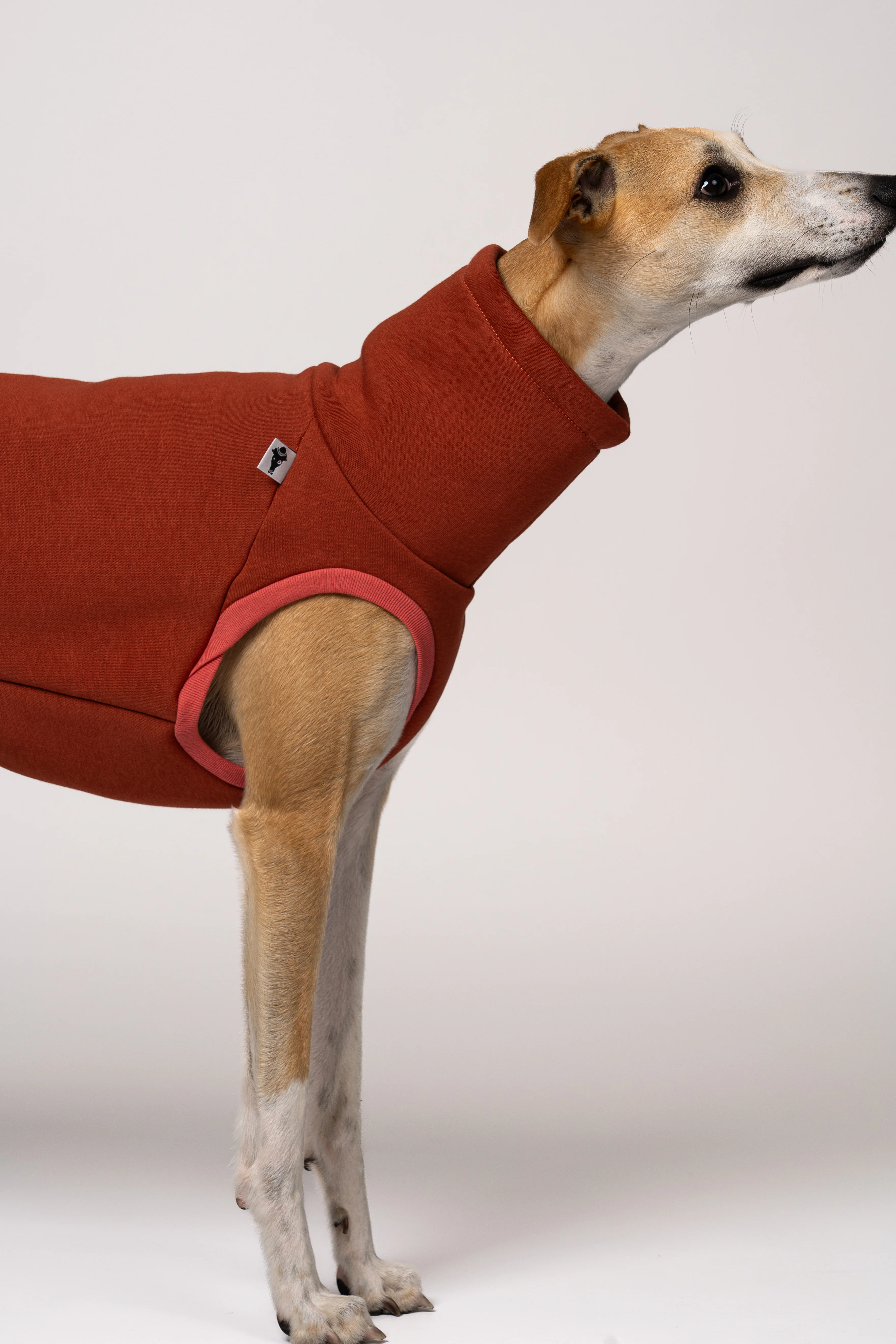 SWEAT SHIRT Windhund Terracotta - Image 8