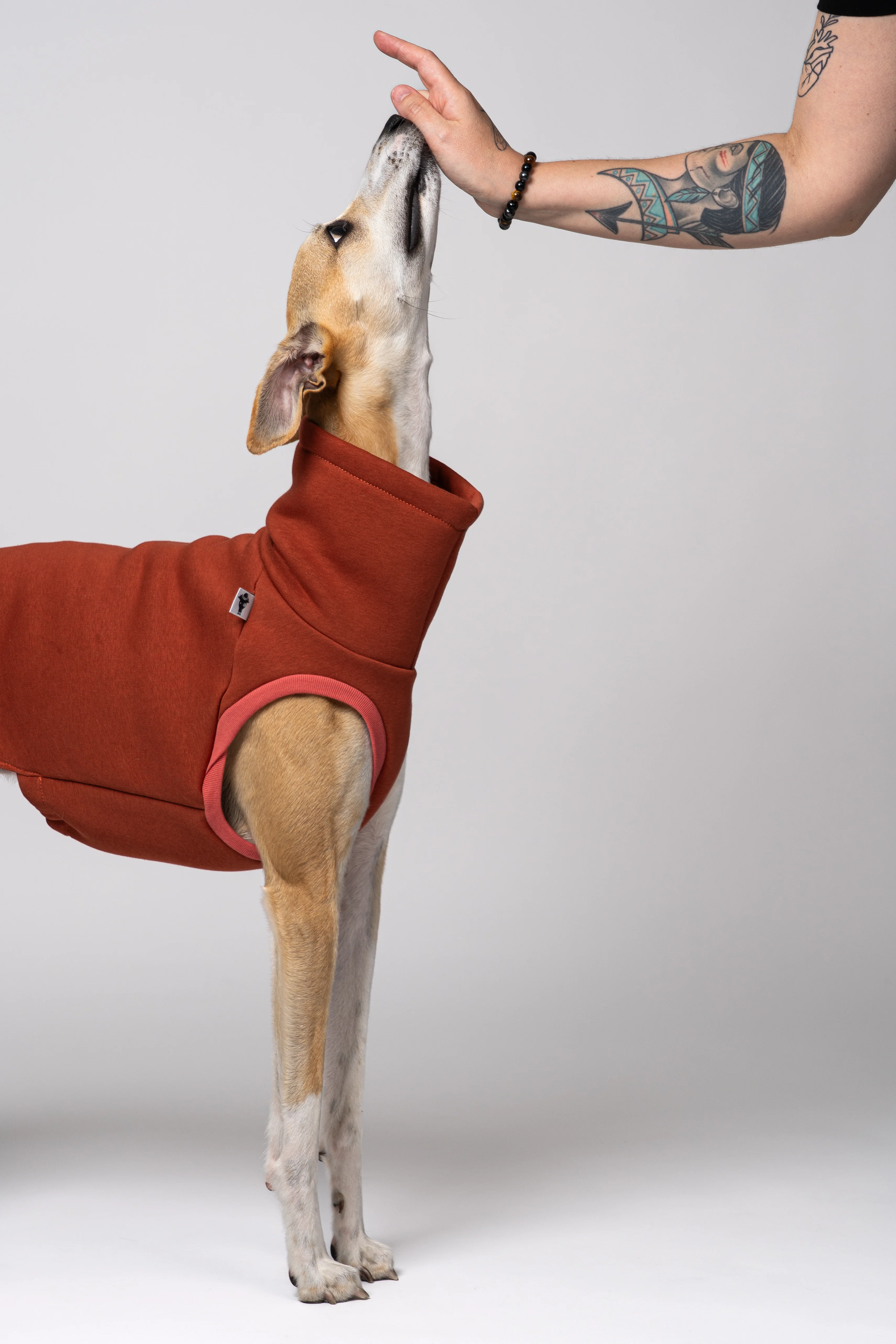SWEAT SHIRT Windhund Terracotta - Image 9