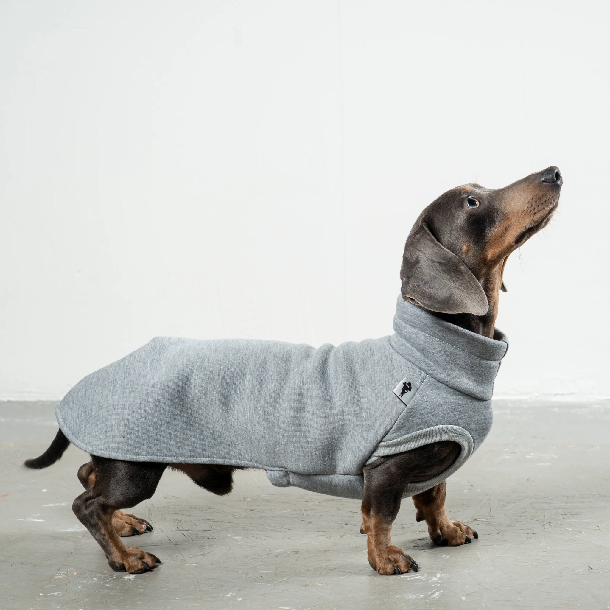 SWEAT SHIRT Dackel Grey Melange - Image 3