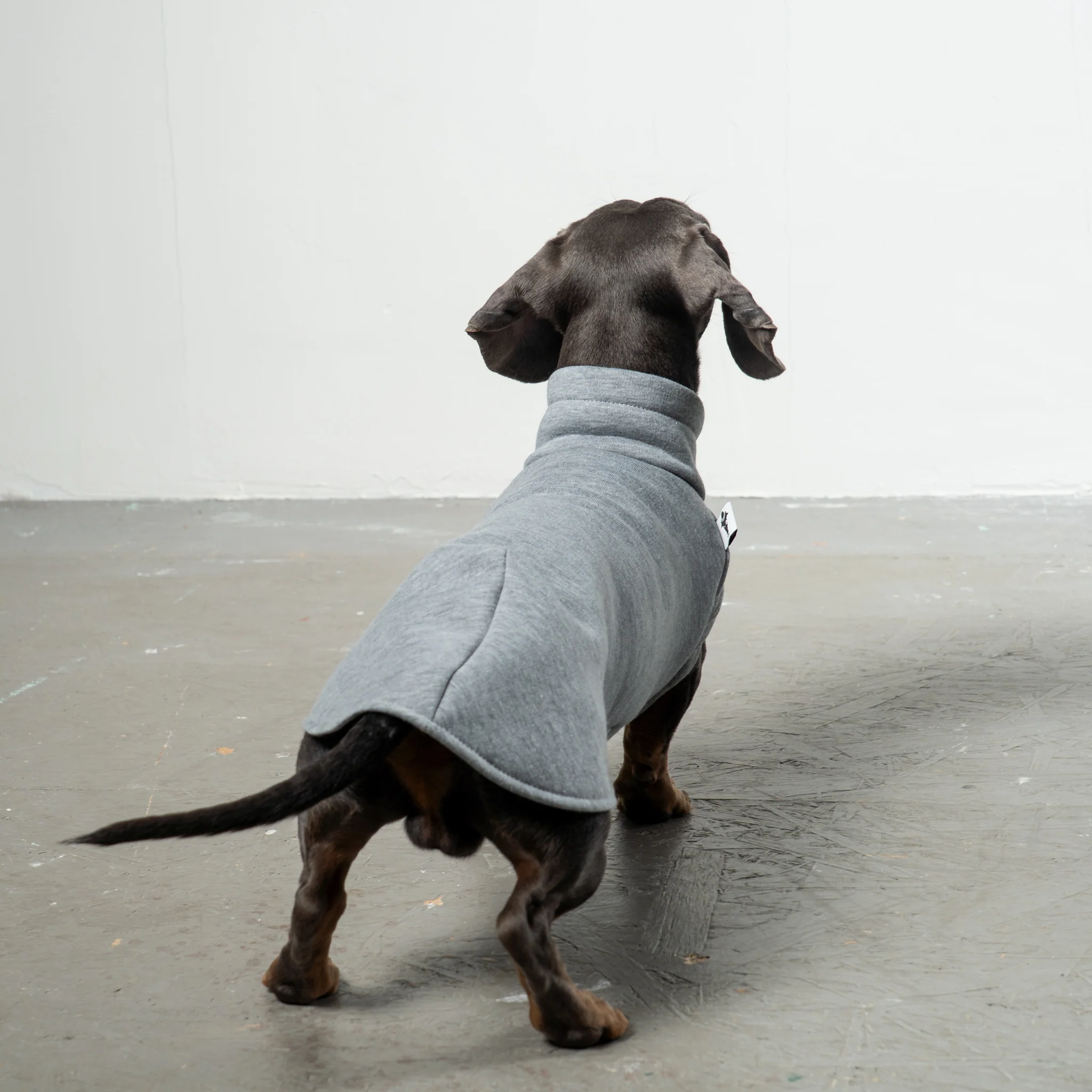 SWEAT SHIRT Dackel Grey Melange - Image 5