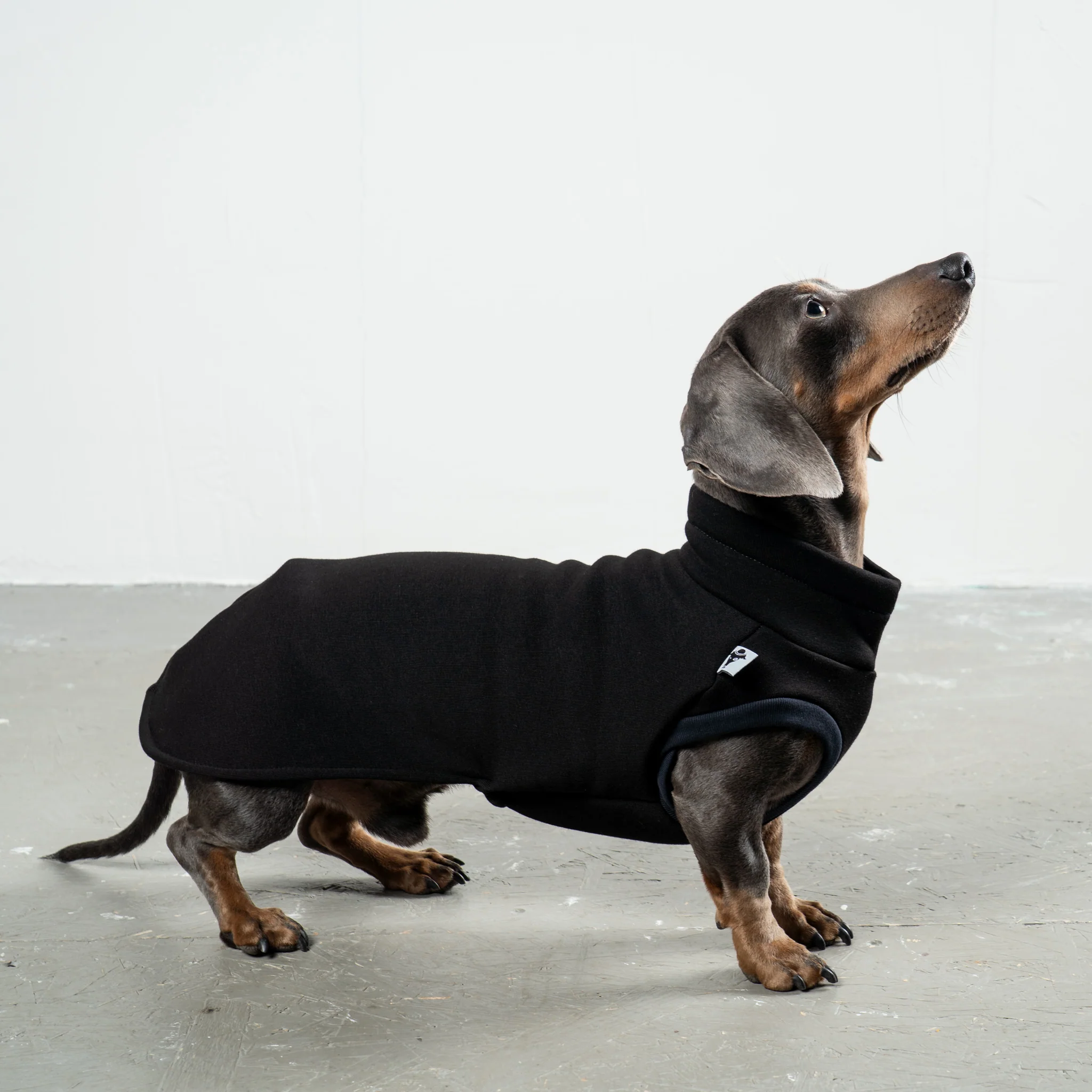 SWEAT SHIRT Dackel Schwarz - Image 2