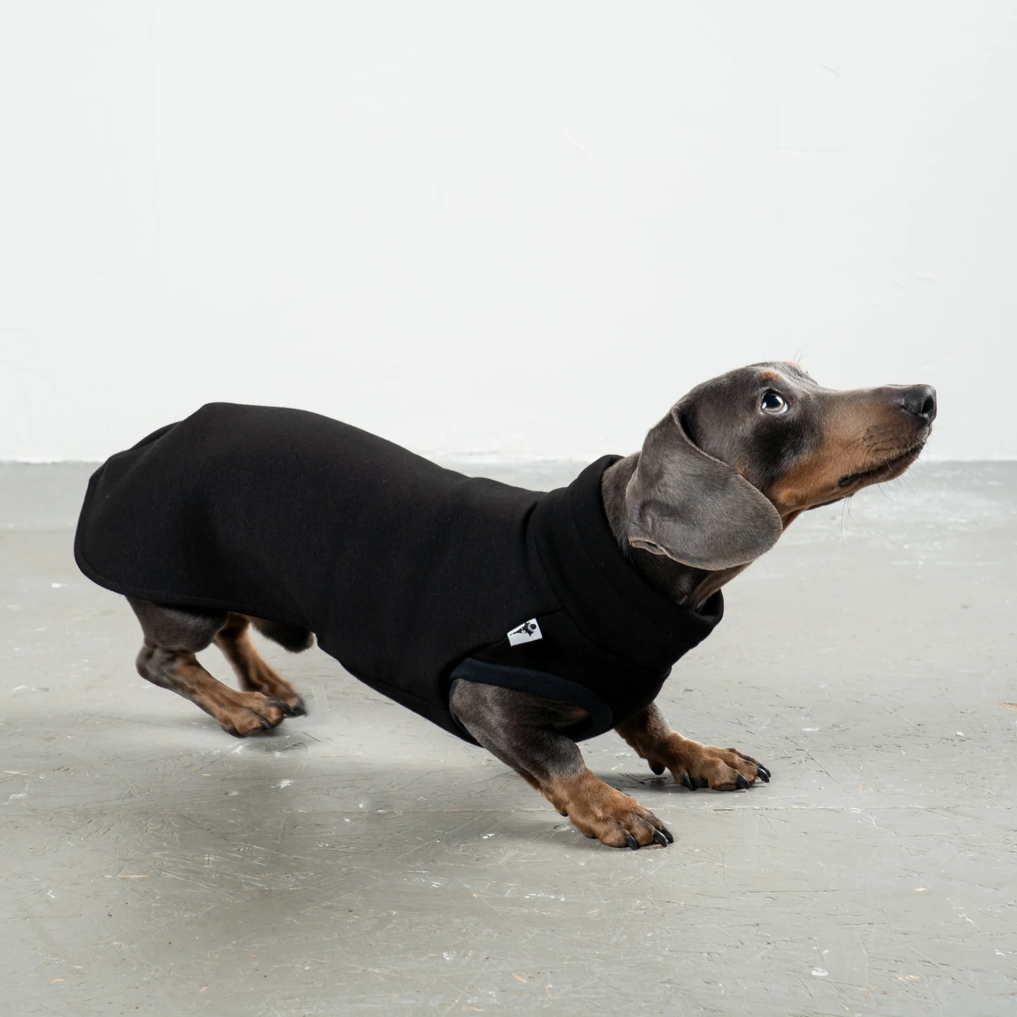 SWEAT SHIRT Dackel Schwarz - Image 4
