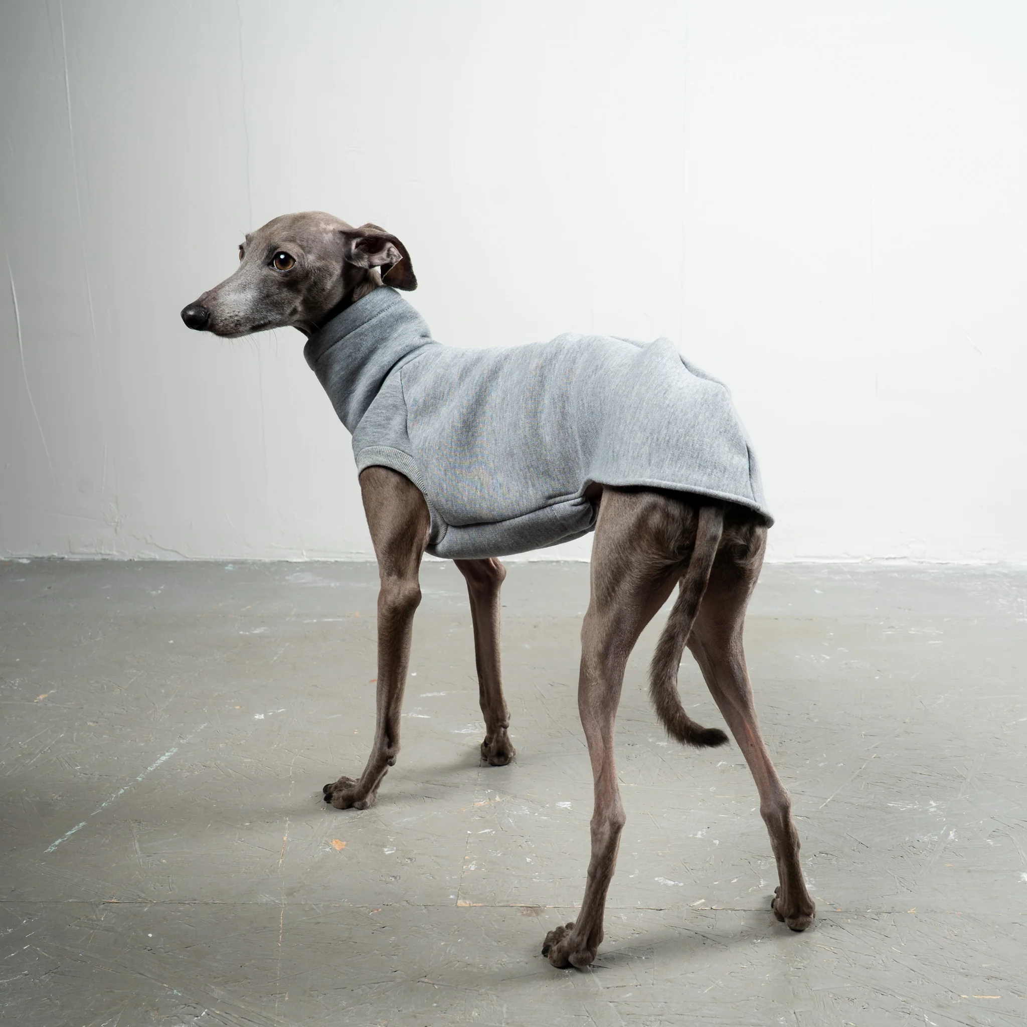 SWEAT SHIRT Iggy Grey Melange - Image 3