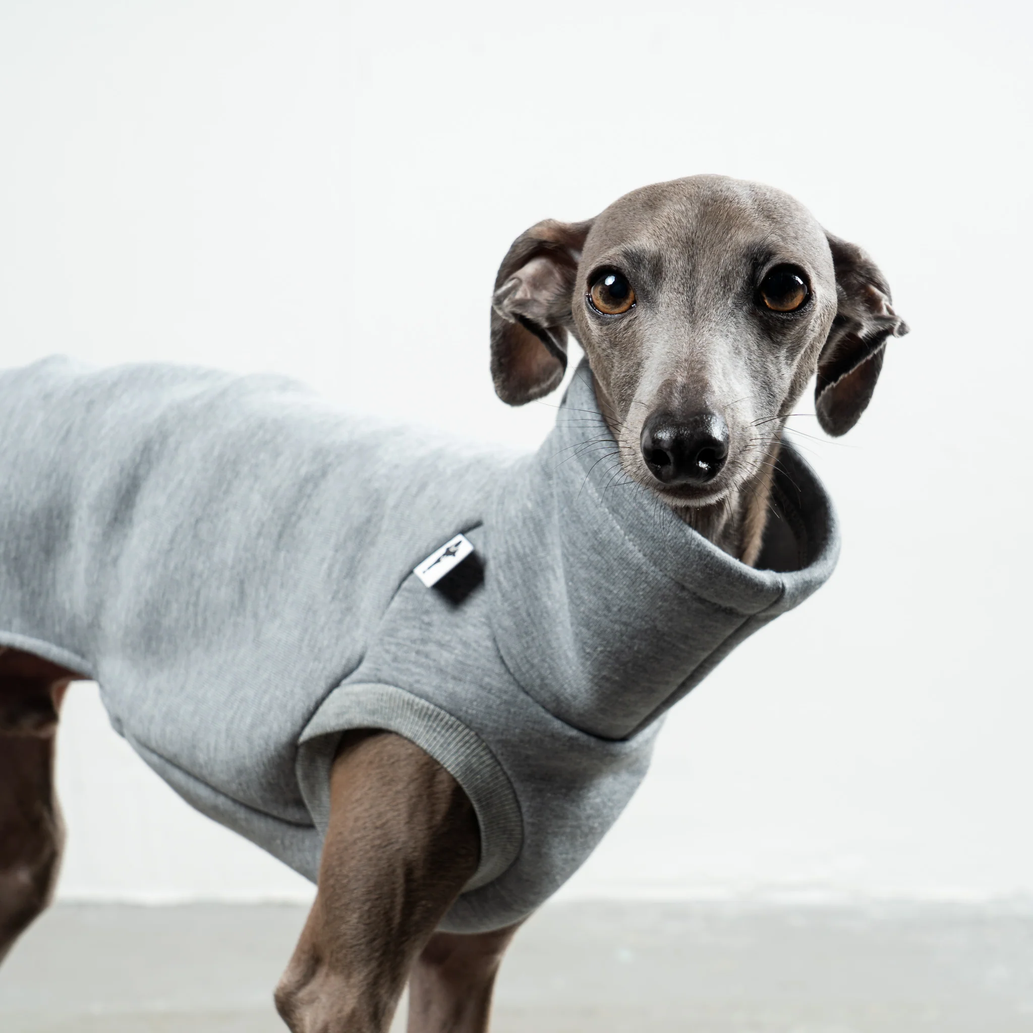 SWEAT SHIRT Iggy Grey Melange - Image 4