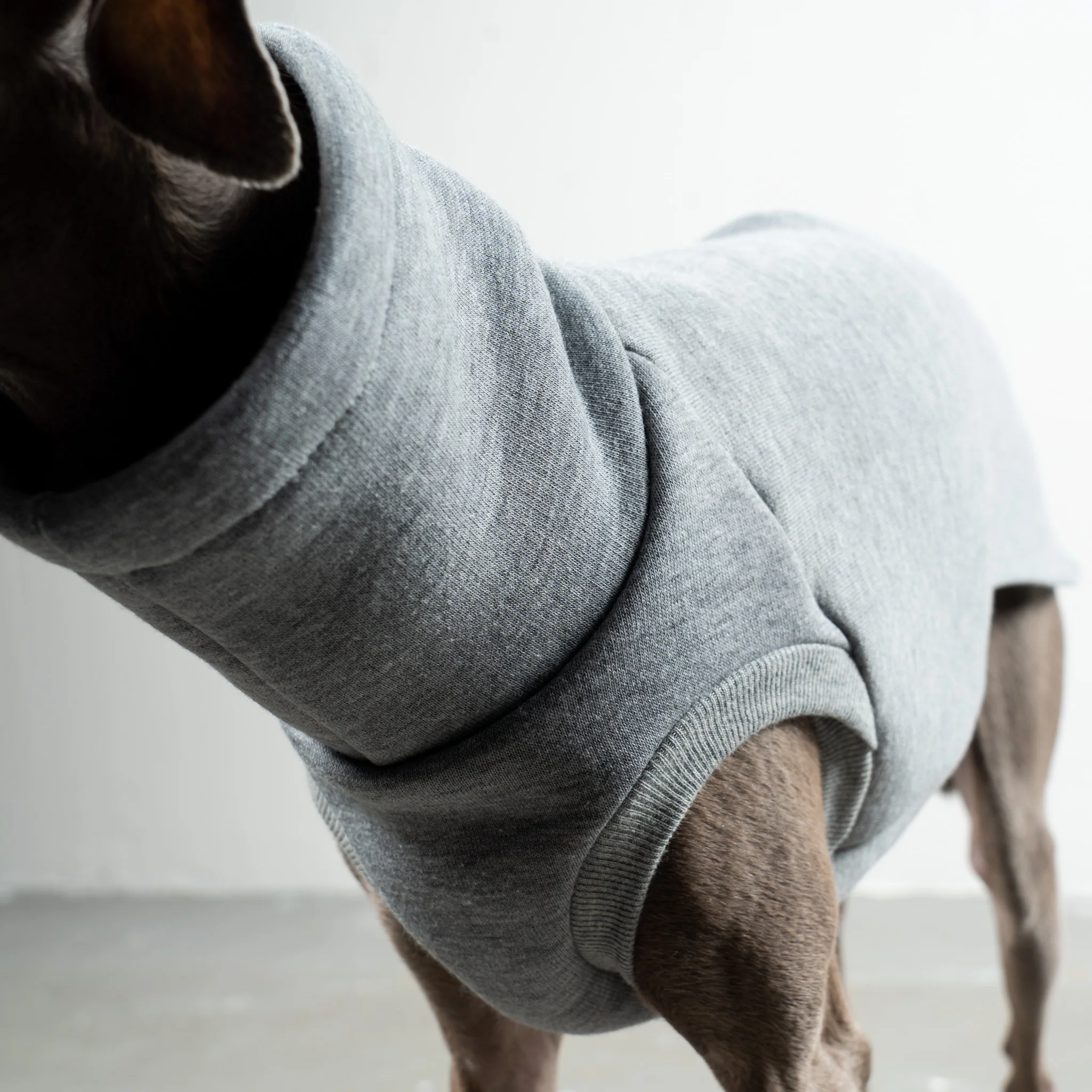 SWEAT SHIRT Iggy Grey Melange - Image 5