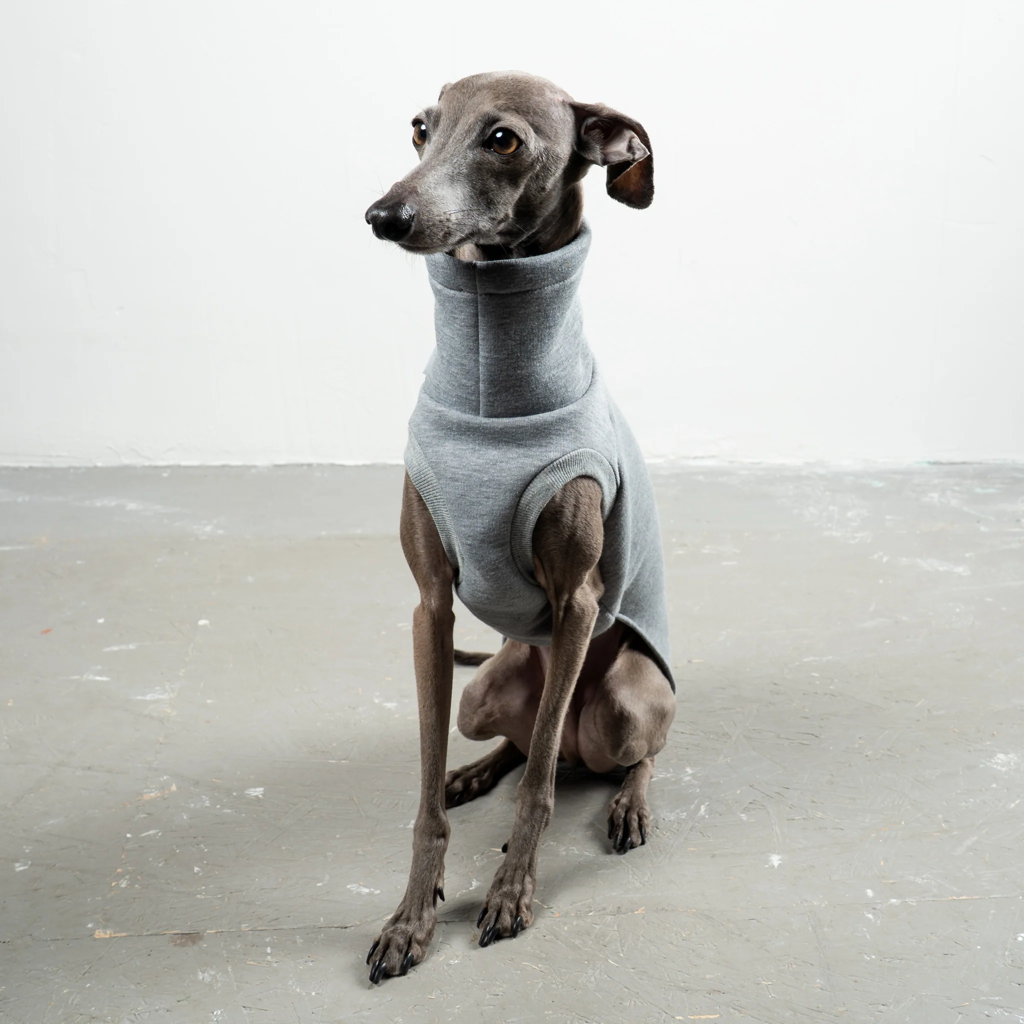 SWEAT SHIRT Iggy Grey Melange - Image 6