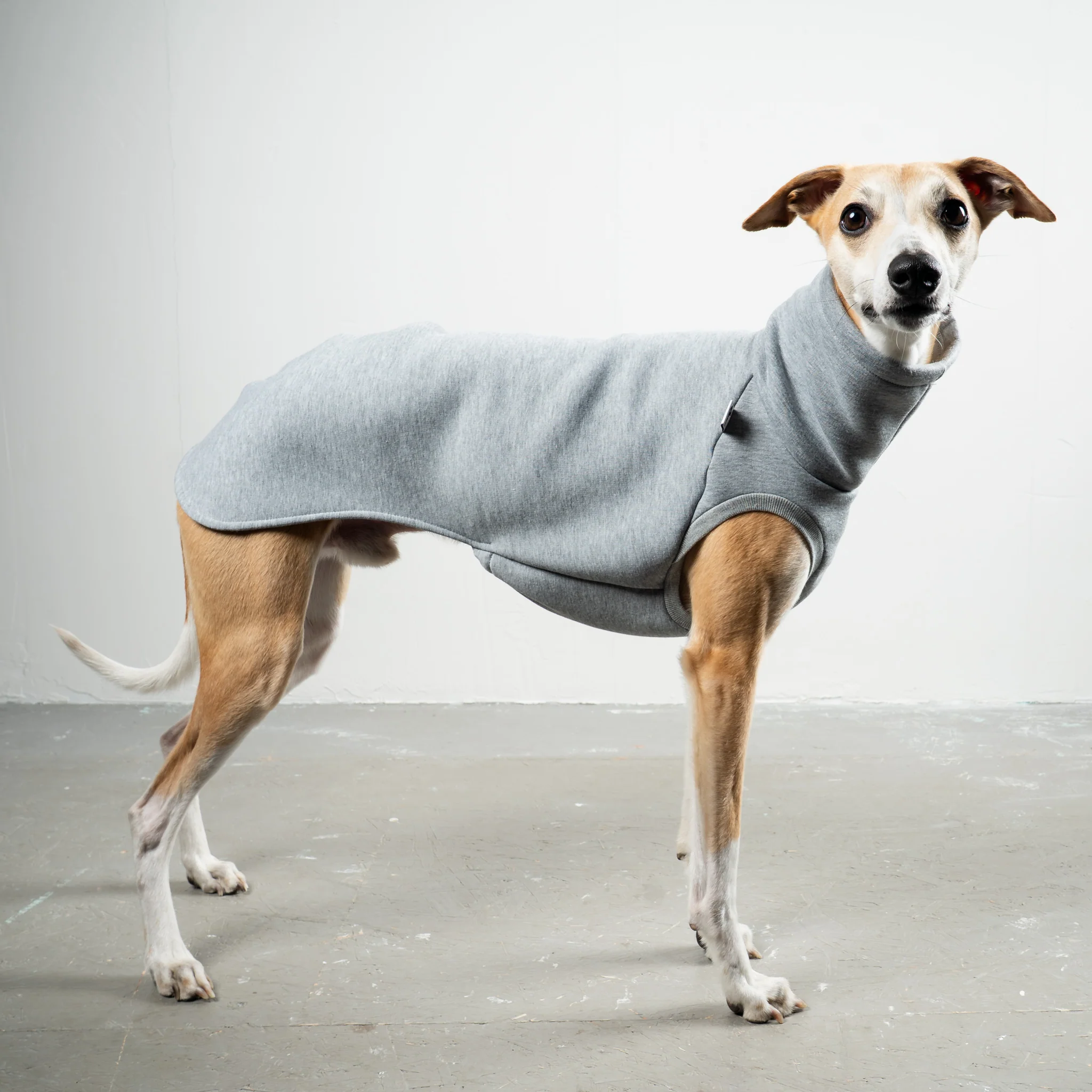 SWEAT SHIRT Windhund Grey Melange - Image 3
