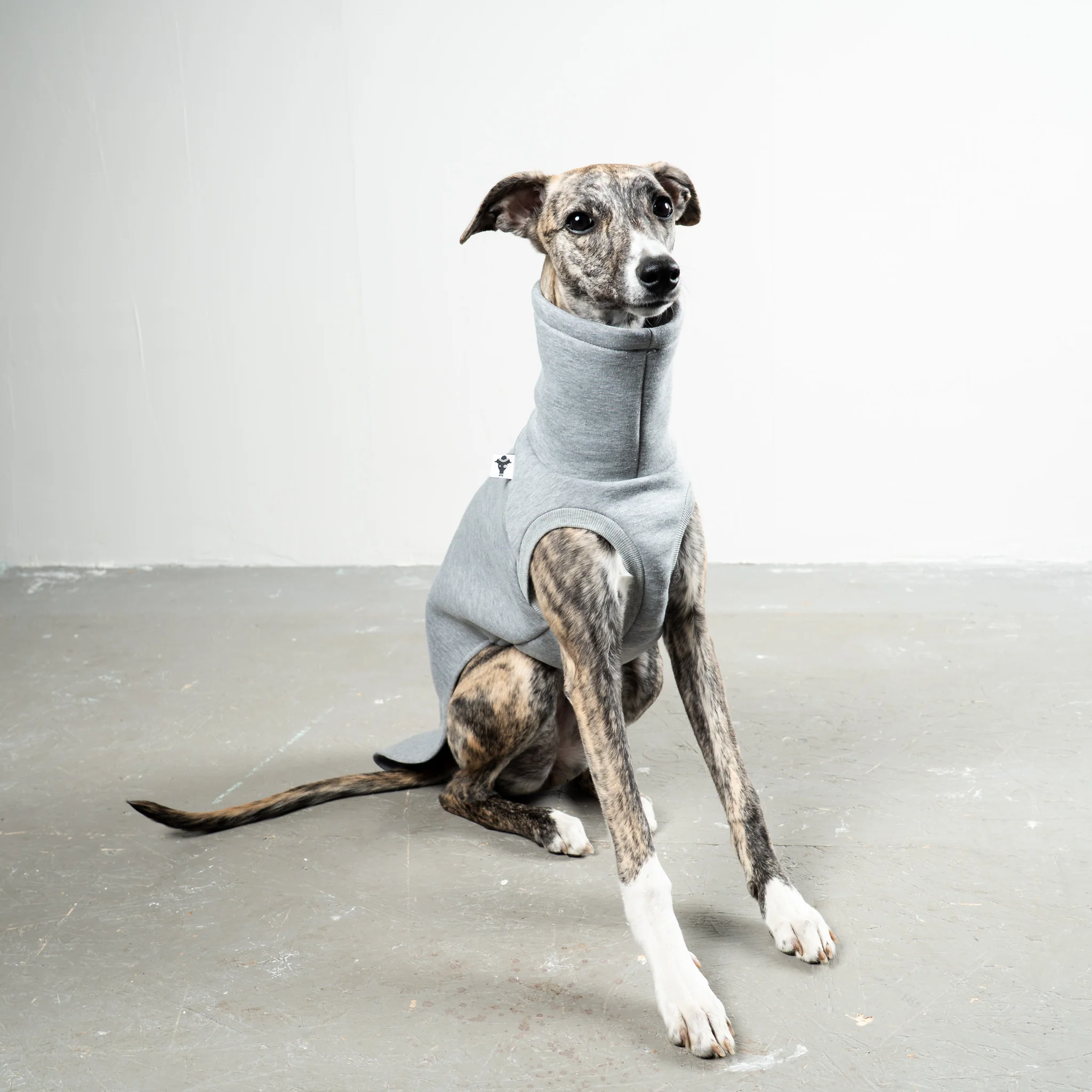 SWEAT SHIRT Windhund Grey Melange - Image 4