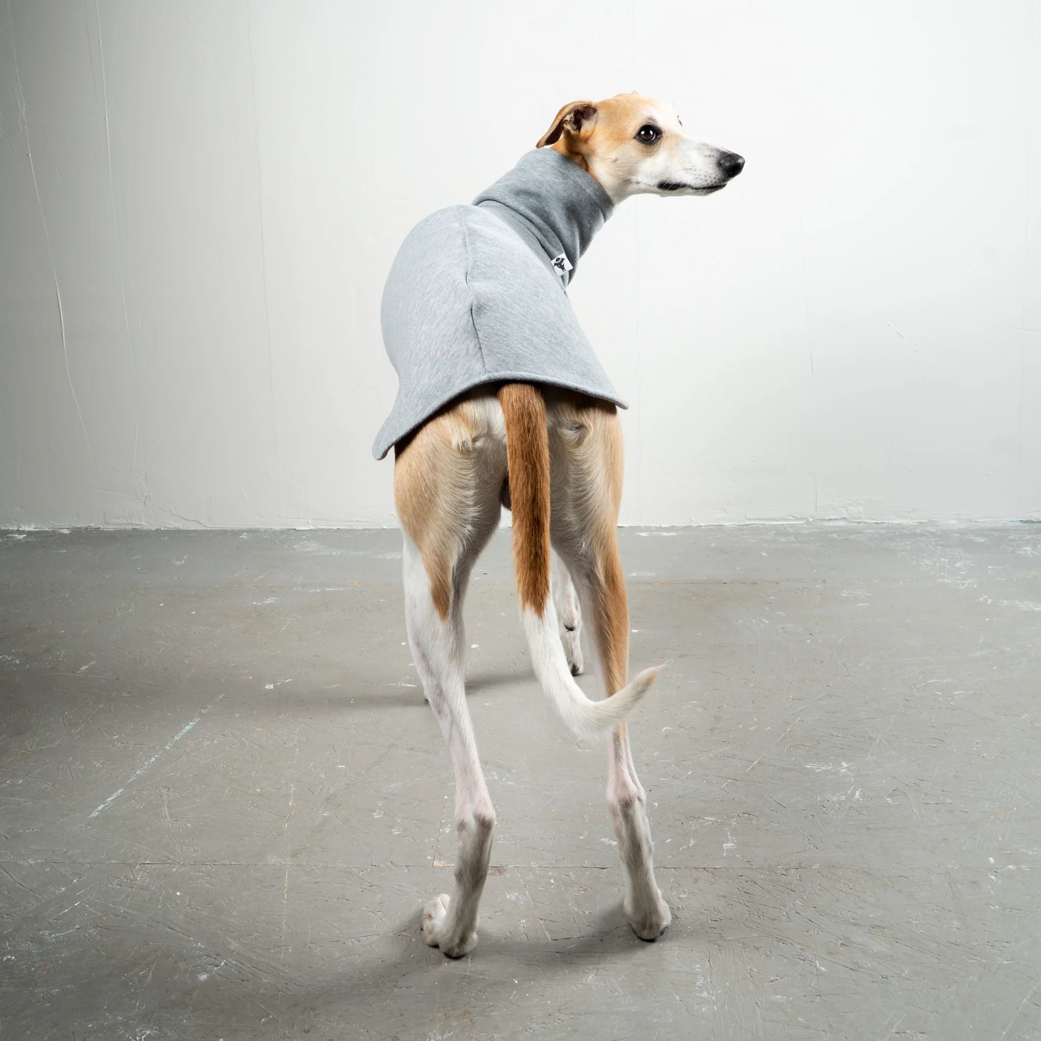 SWEAT SHIRT Windhund Grey Melange - Image 5
