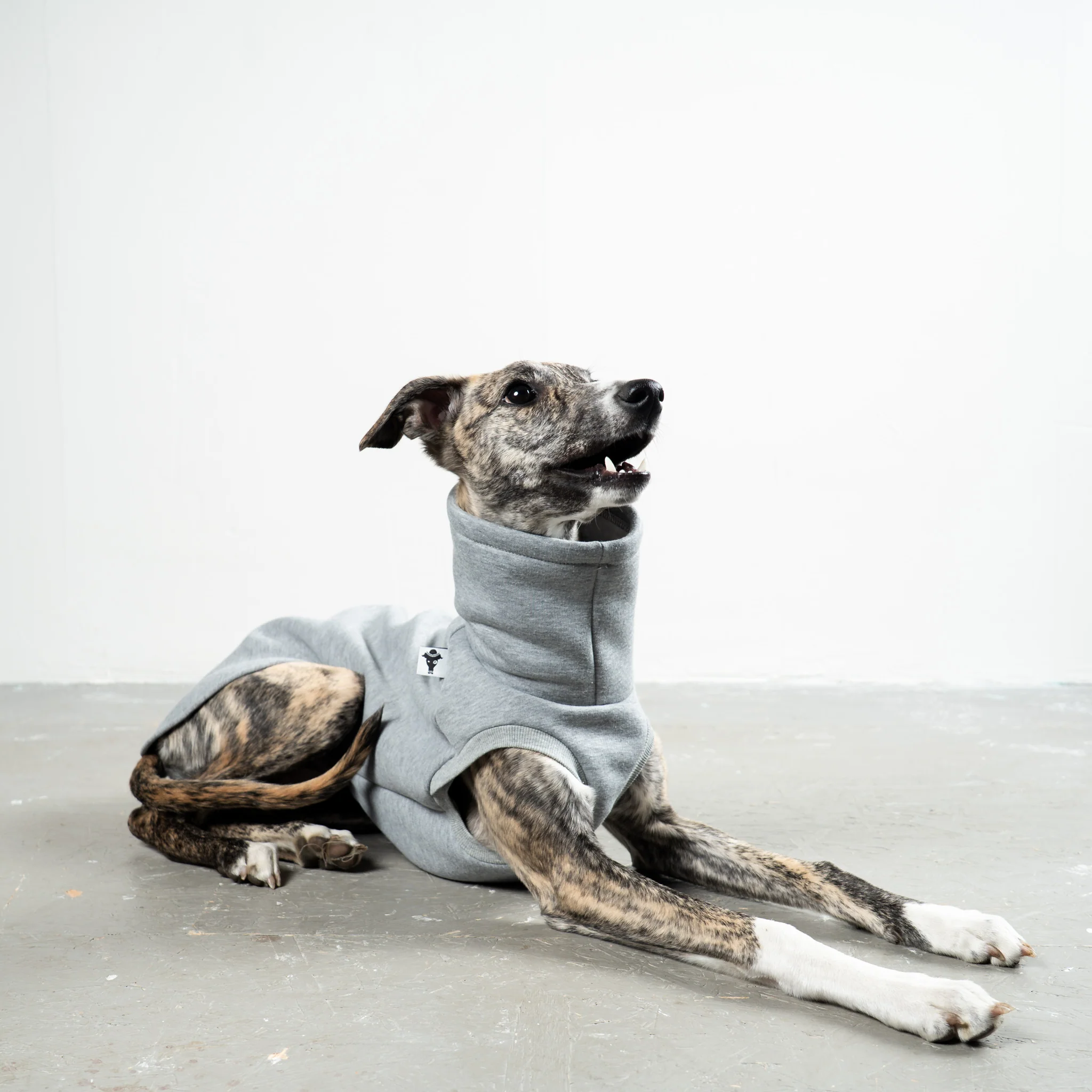 SWEAT SHIRT Windhund Grey Melange - Image 6