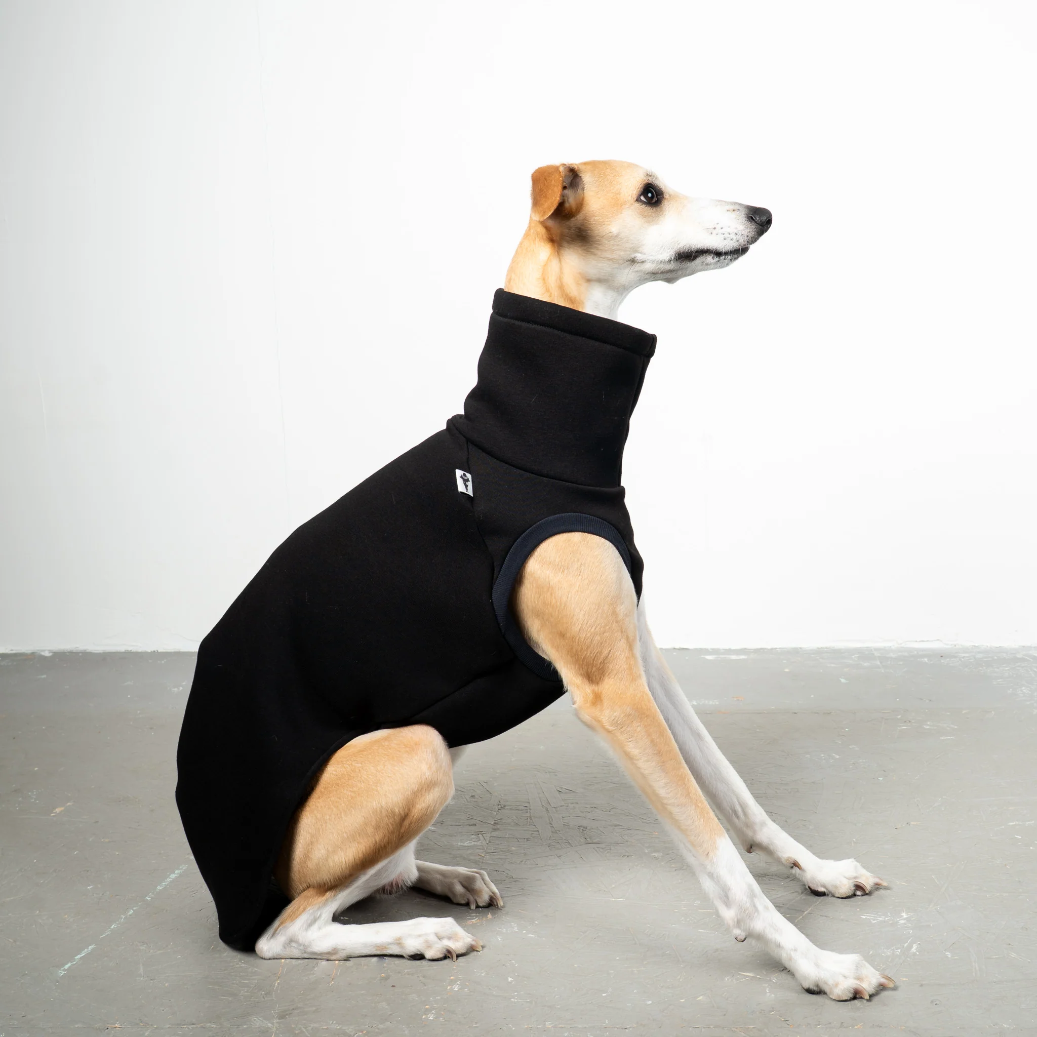 SWEAT SHIRT Windhund Schwarz - Image 5