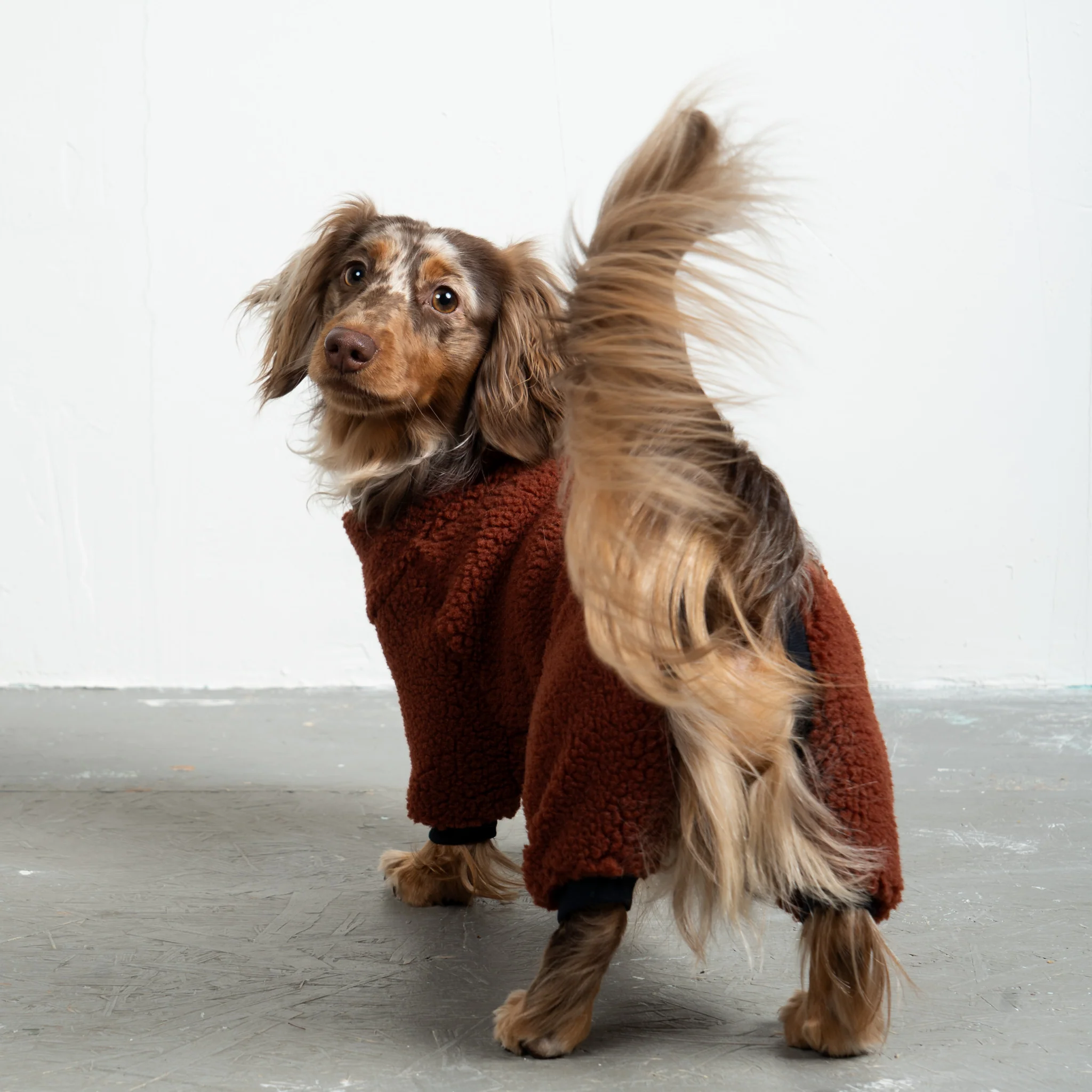 TEDDY OVERALL Dackel Brown - Image 2