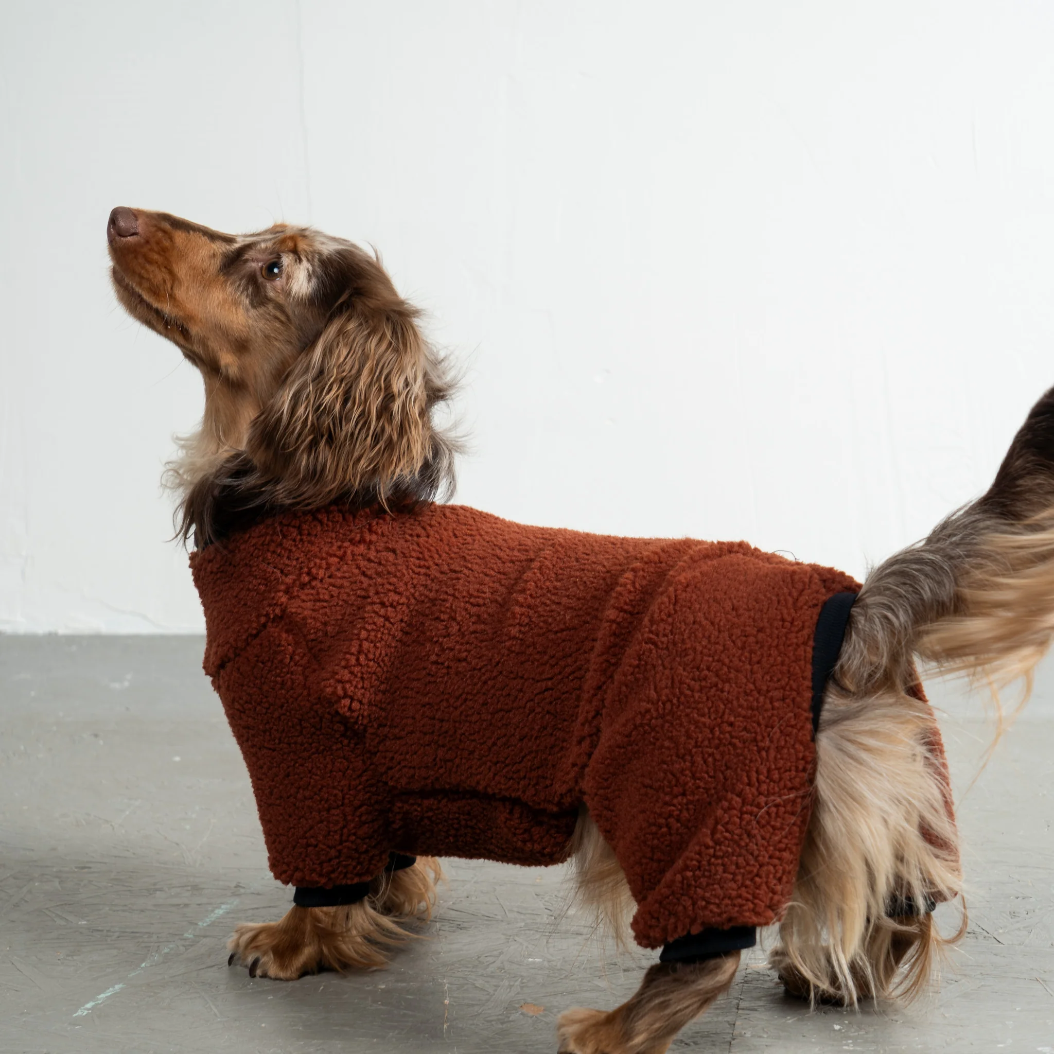 TEDDY OVERALL Dackel Brown - Image 4